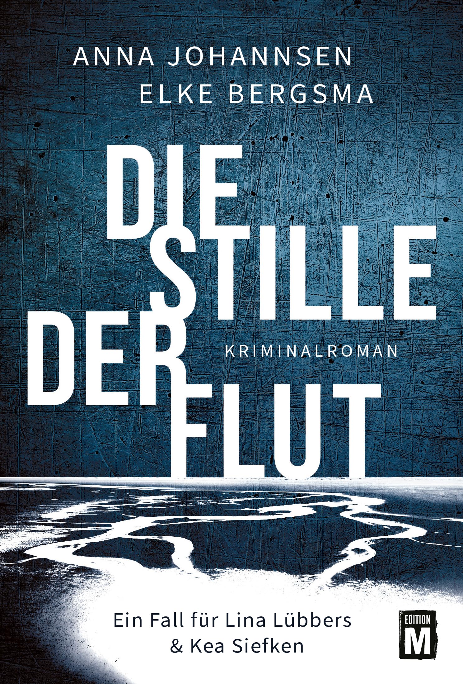 Die Stille der Flut Contemporary literature Books
