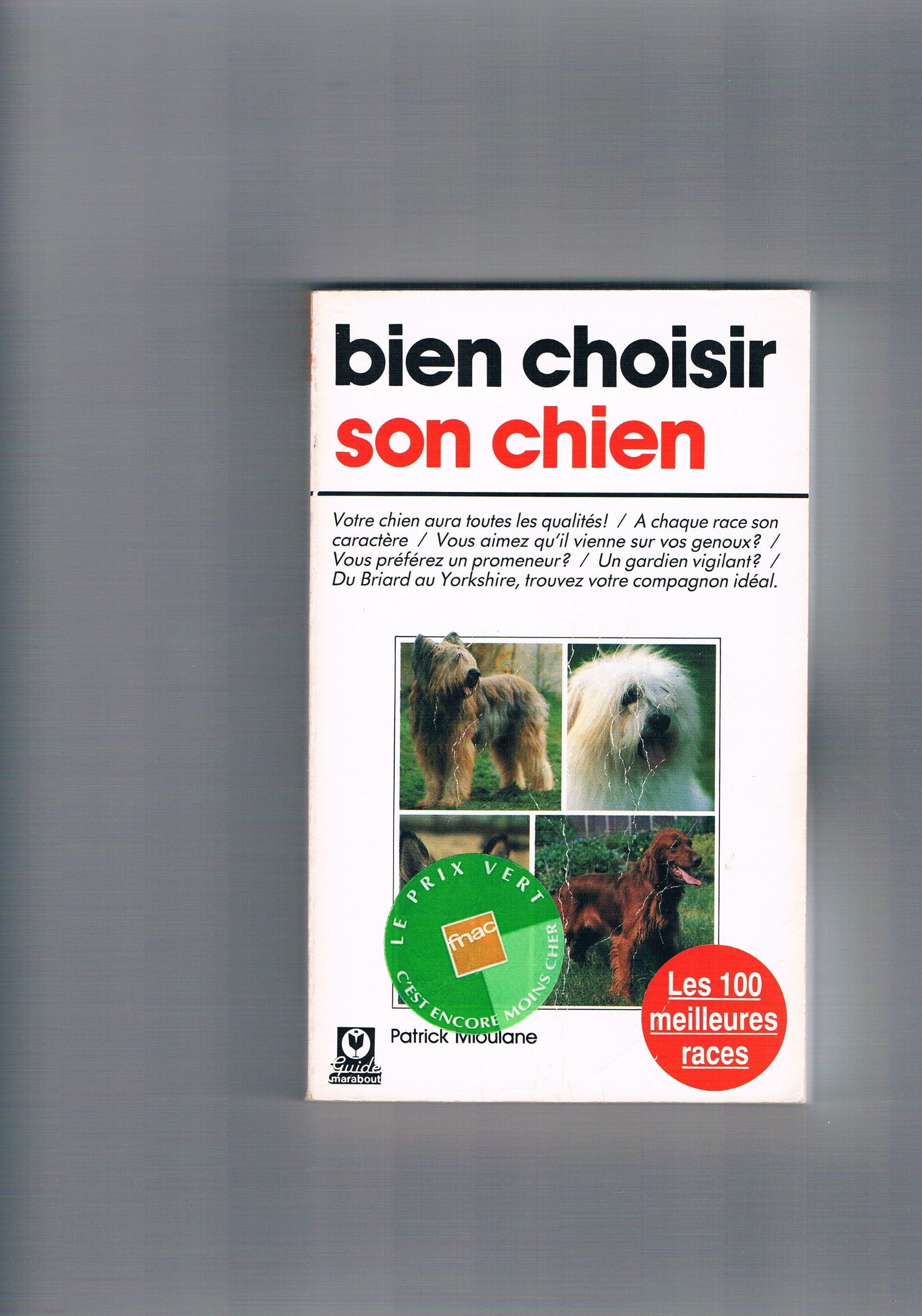 Bien choisir son chien 010598 (Mar.Animaux) Books
