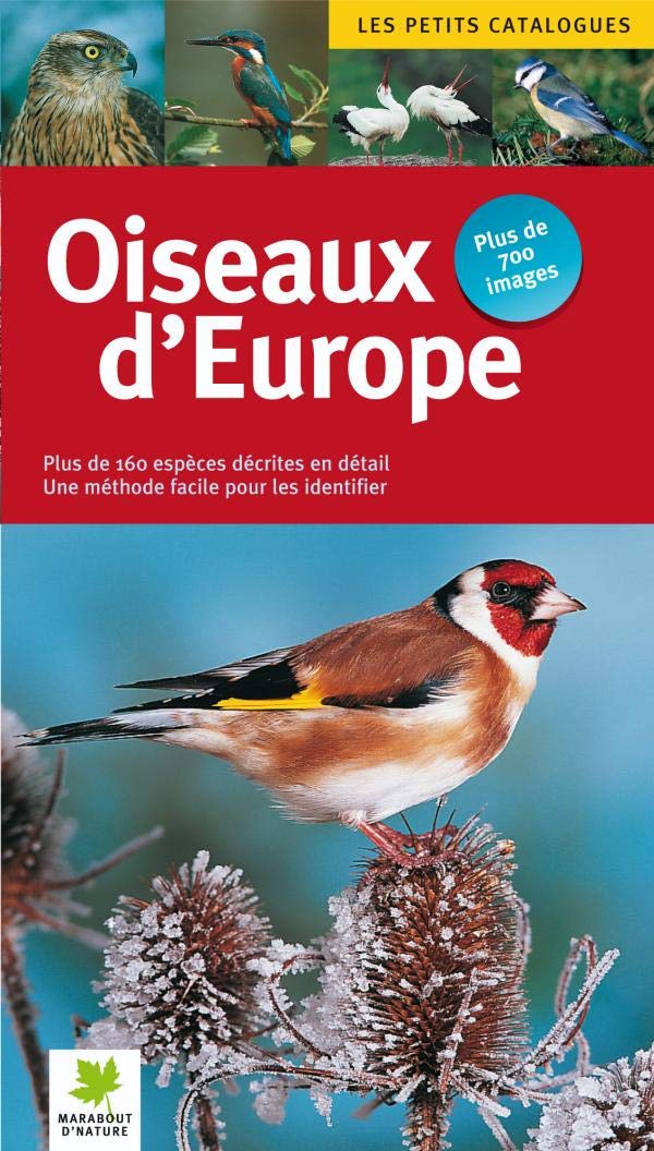 Oiseaux : Les reconnaître facilement sans se tromper Books
