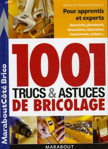 1001 trucs et astuces du bricolage Books