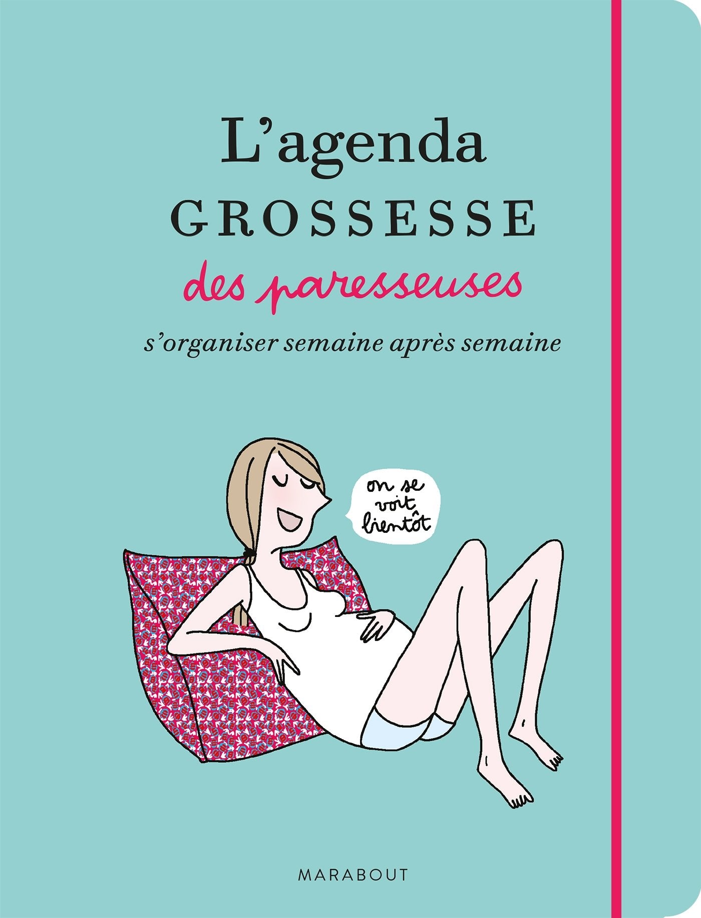 L'agenda de grossesse des Paresseuses book