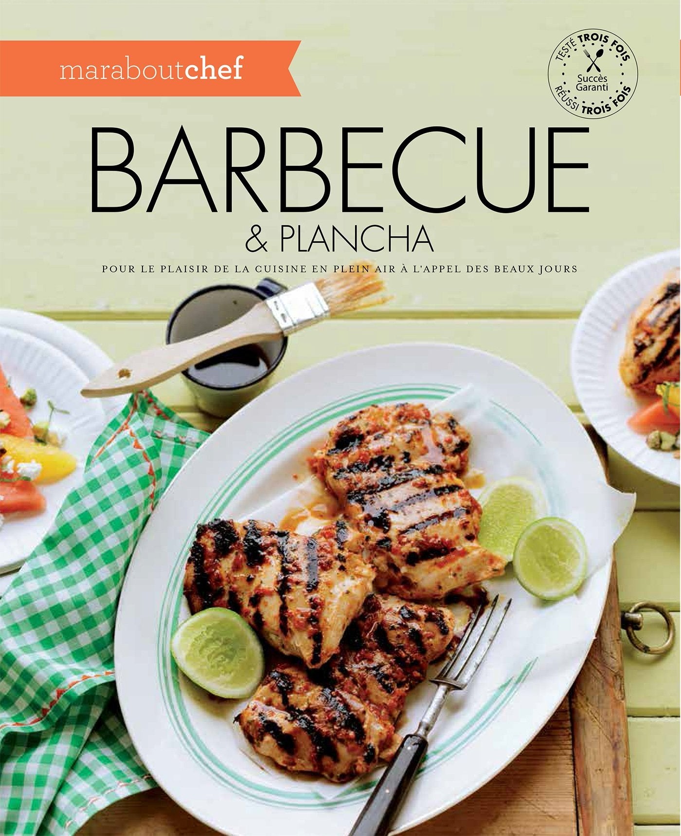 Barbecue & plancha: Pour le plaisir de la cuisine en plein air à l'appel des beaux jours Cooking & Enjoying