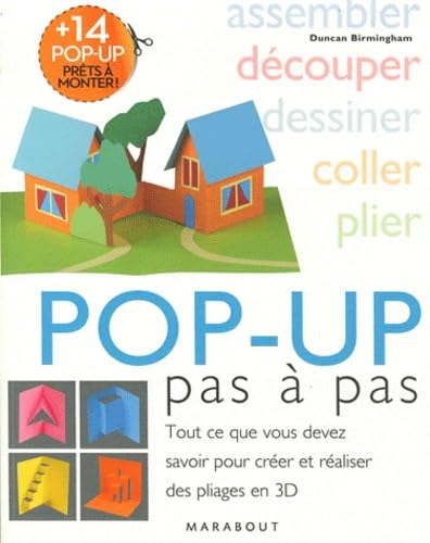 Pop-up pas à pas: Tout ce que vous devez savoir pour créer et réaliser des pliages en 3D Books