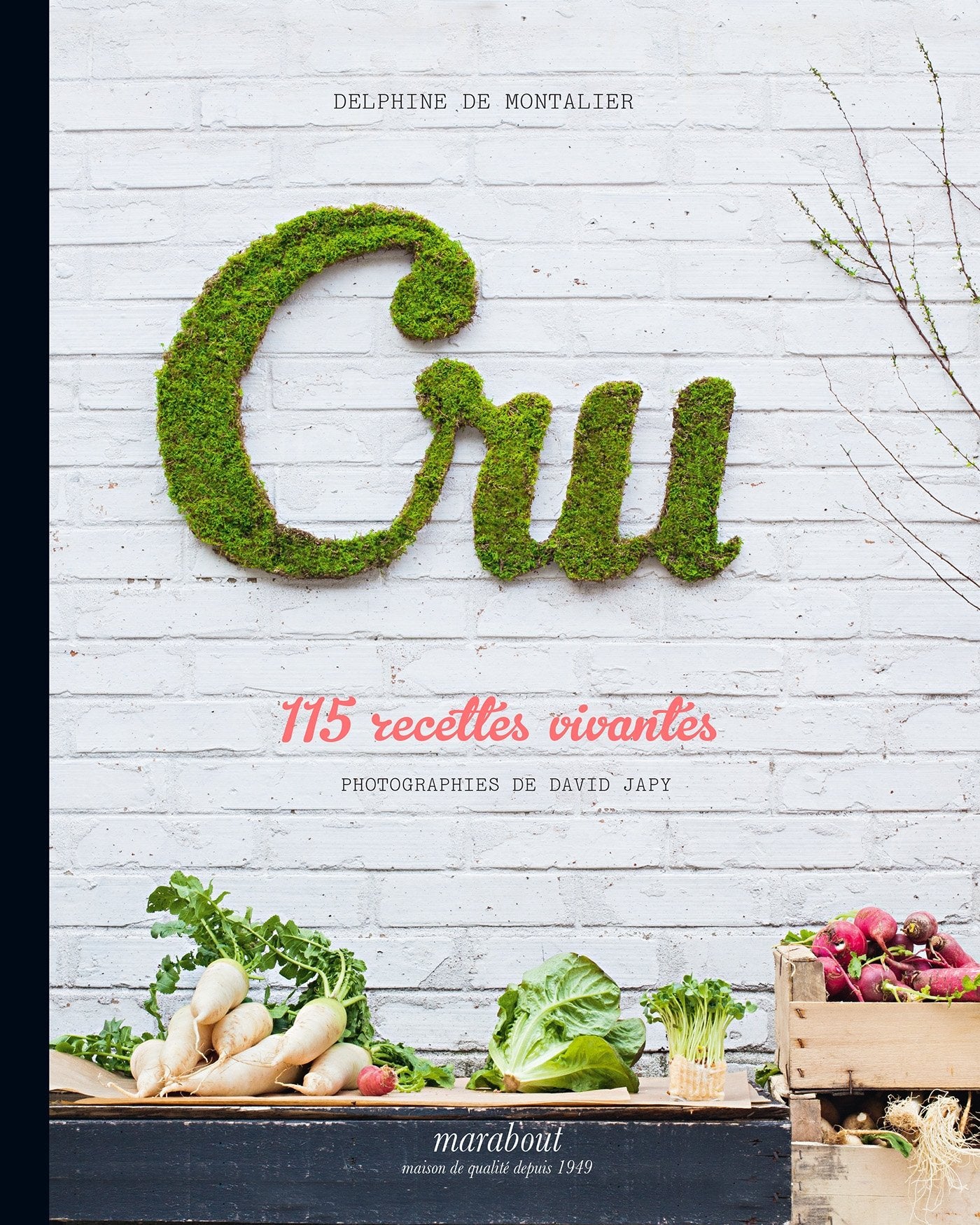 Cru: 115 recettes vivantes book