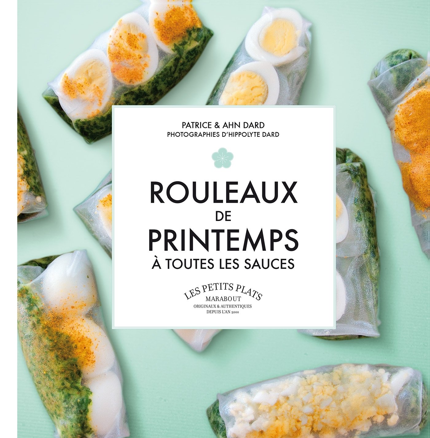 Rouleaux de printemps à toutes les sauces book