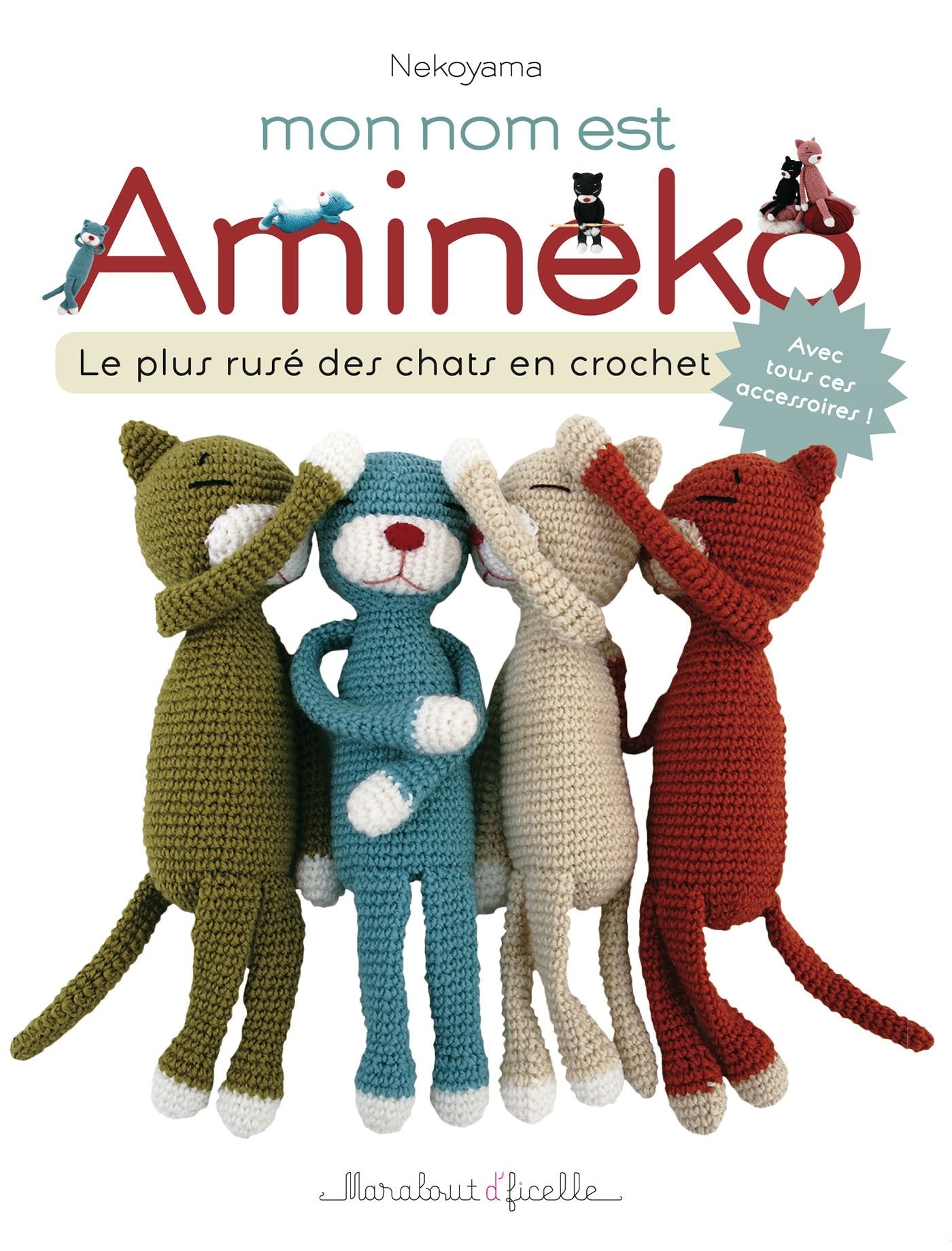 Mon nom est Amineko: Le plus rusé des chats en crochets book