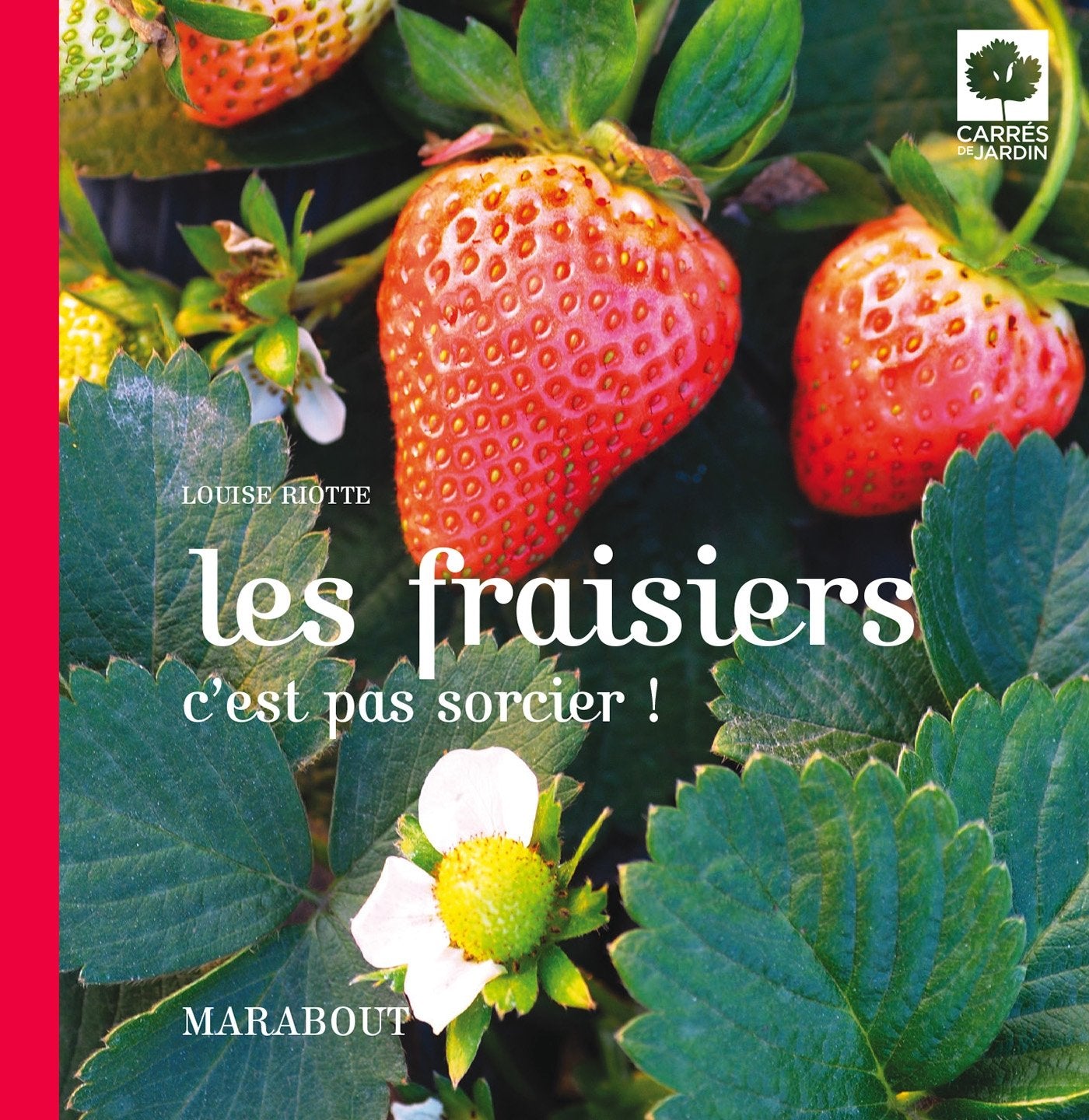 Les fraisiers c'est pas sorcier ! book