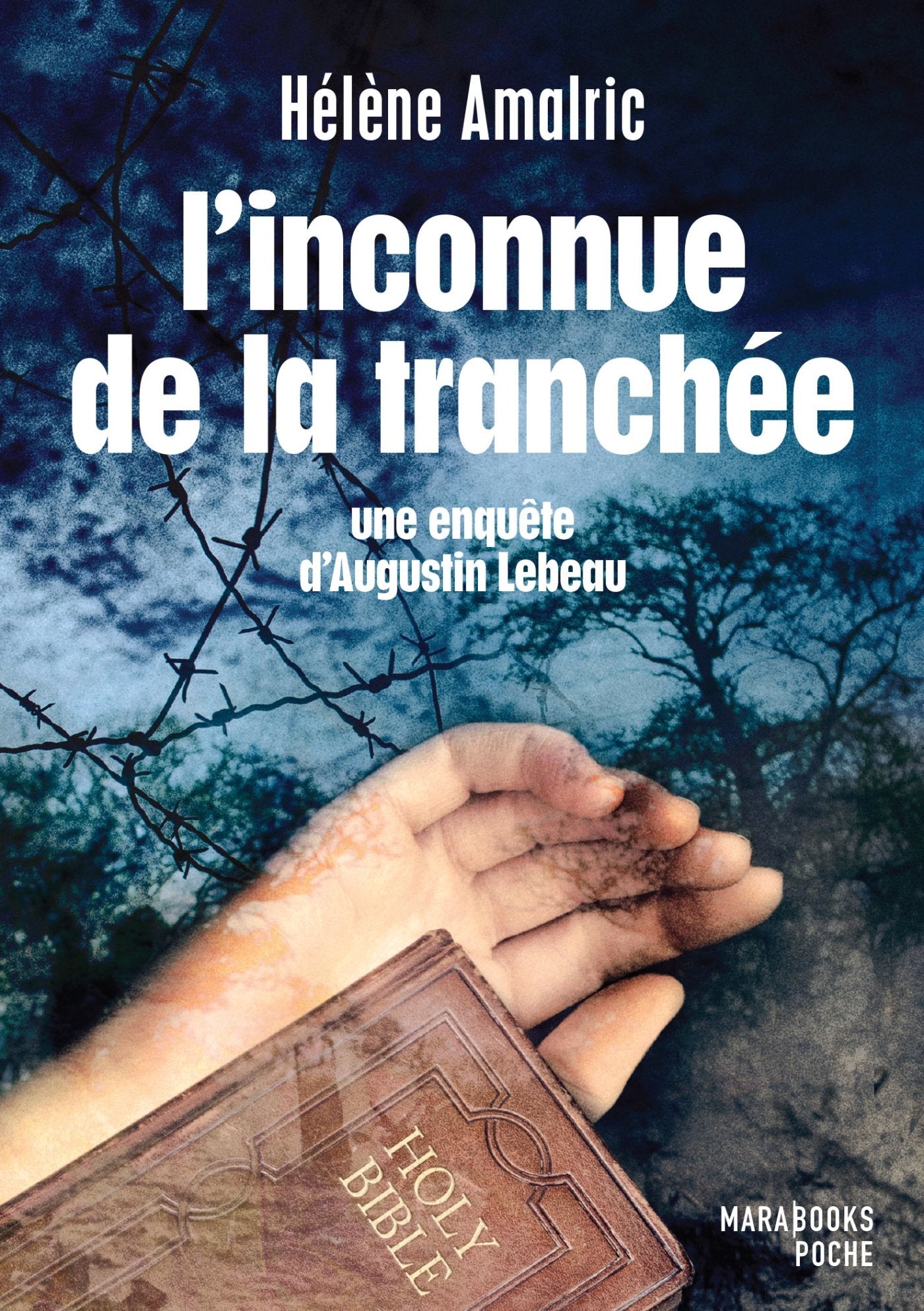 L'inconnue de la tranchée: Une enquête d'Augustin Lebeau book
