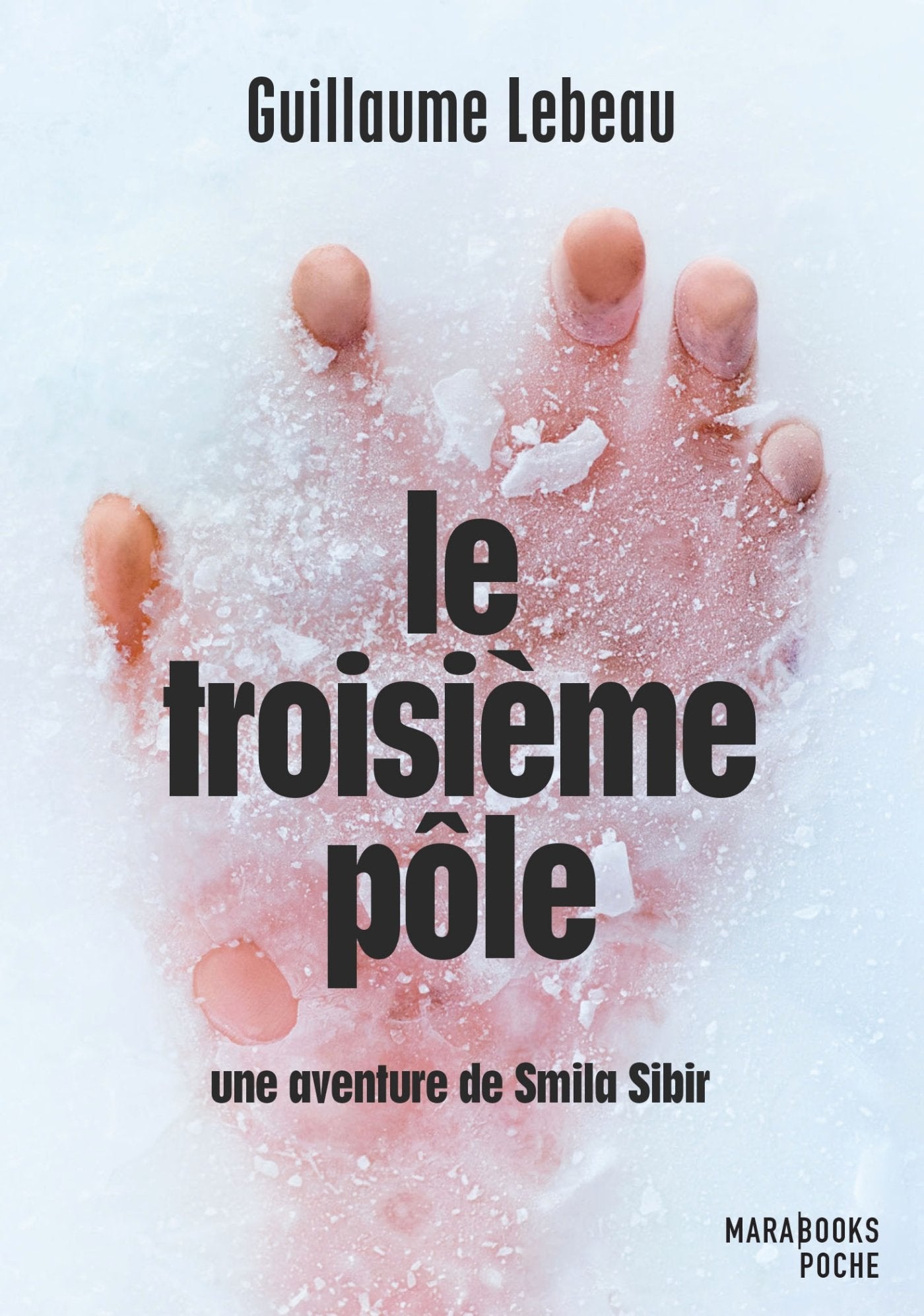 Le troisième pôle: Une aventure de Smila Sibir Books