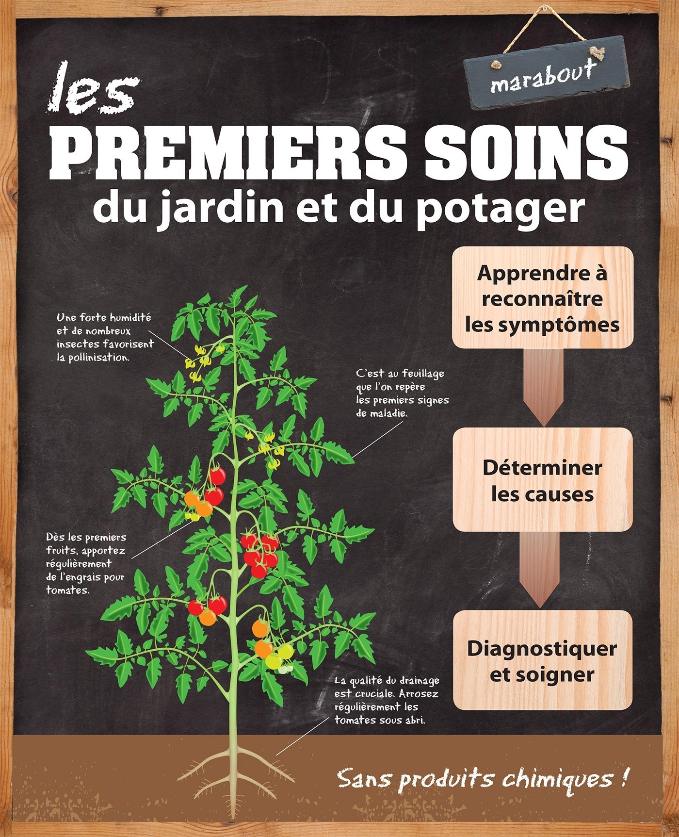 Les premiers soins du jardin et du potager Books