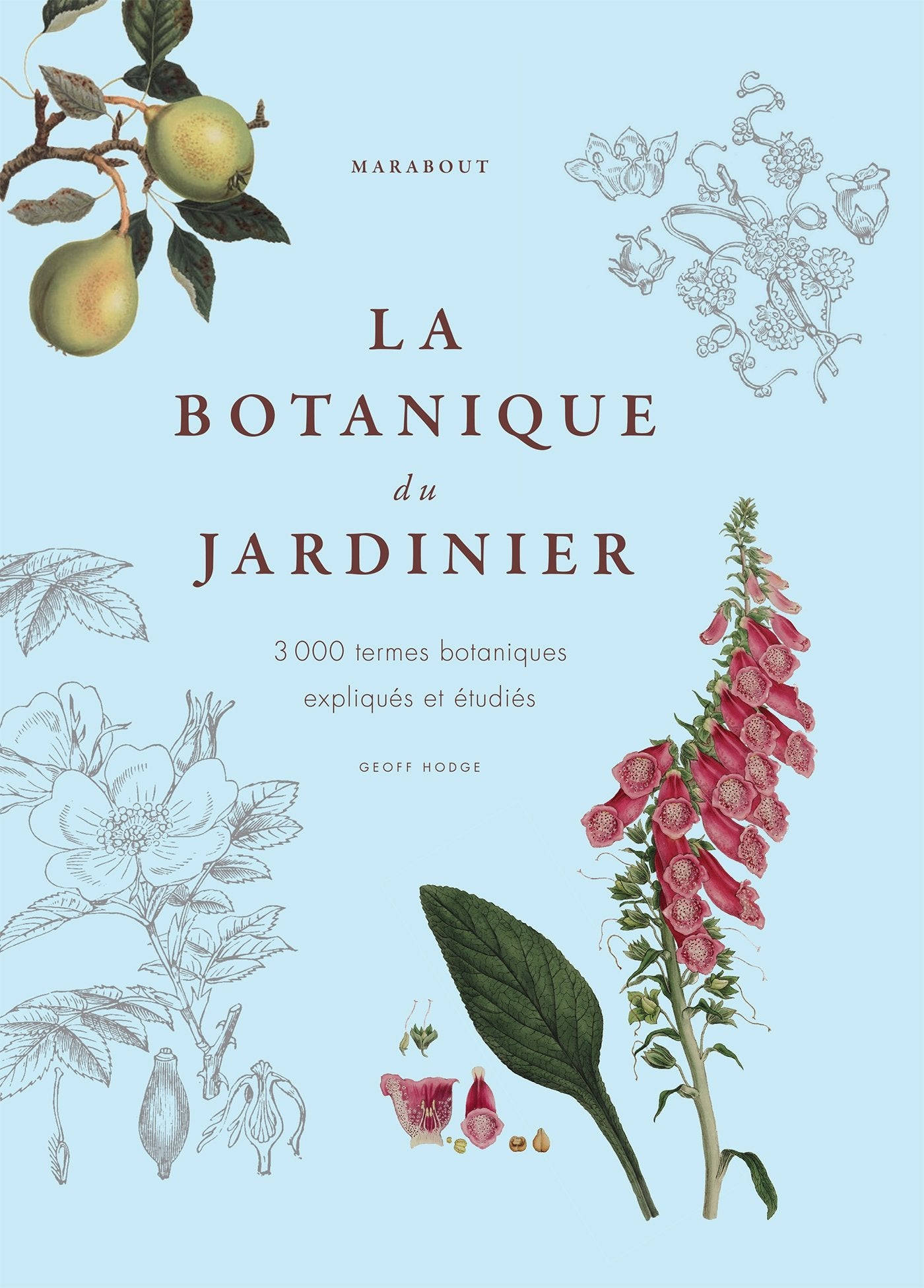 La botanique du jardinier: 3 000 termes botaniques expliqués et étudiés book