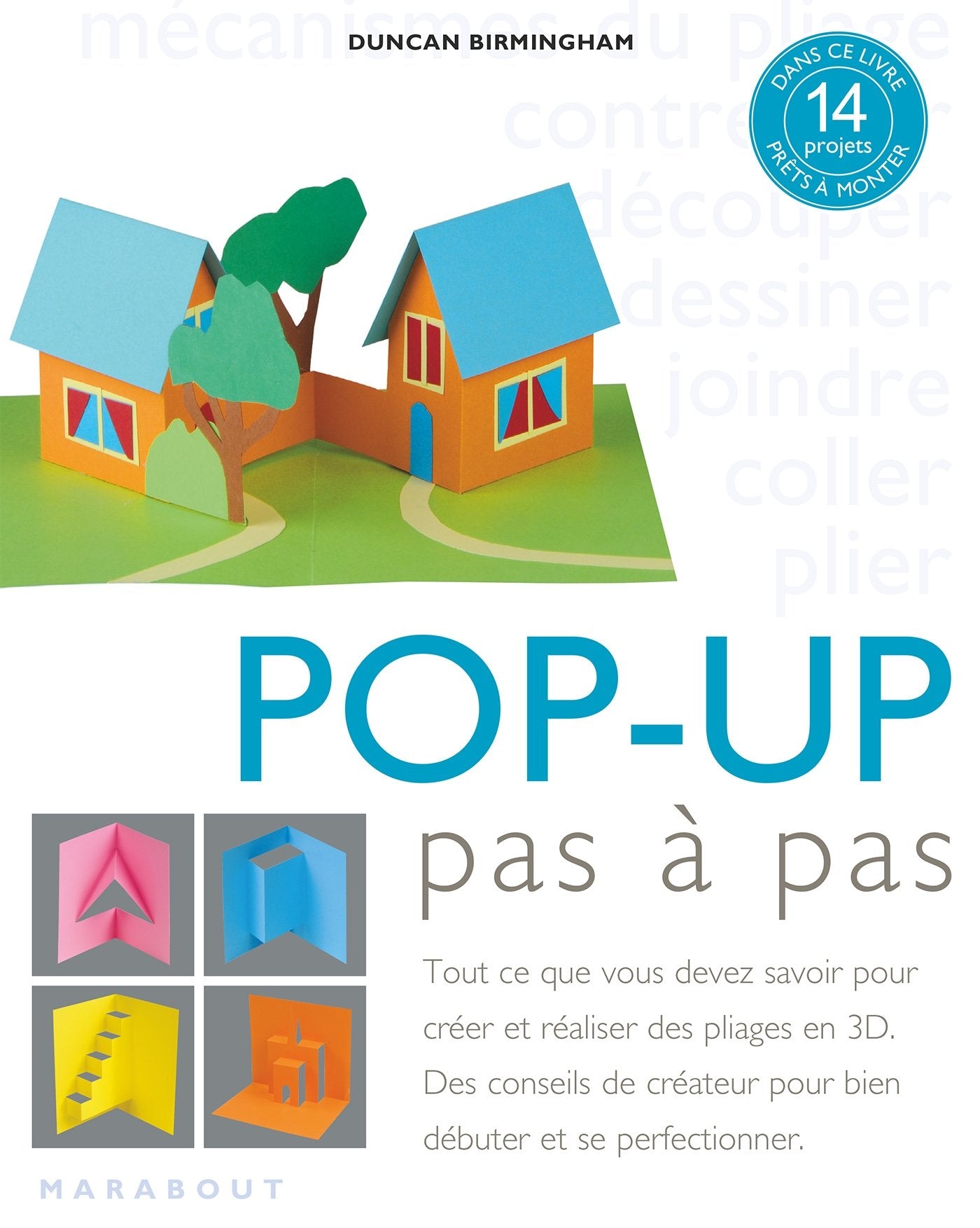 Pop-up pas à pas: Tout ce que vous devez savoir pour créer et réaliser des pliages en 3D book