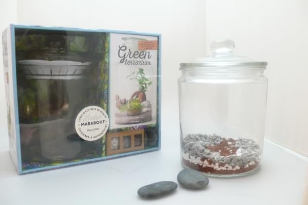 Coffret Green Terrarium: Contient un terrarium en verre Leisure, Home & Garden