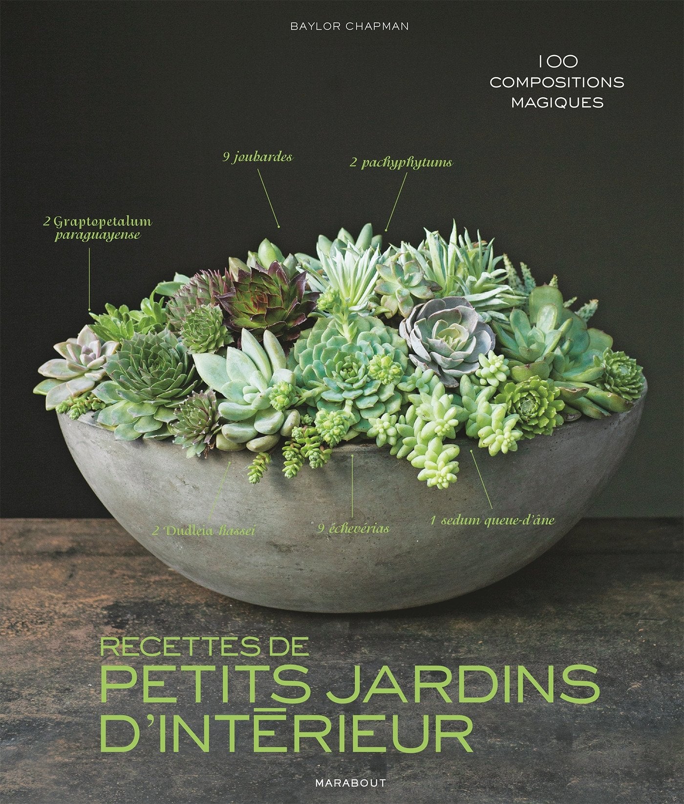 Recettes de petits jardins d'intérieur: 100 compositions magiques au fil des saisons Books