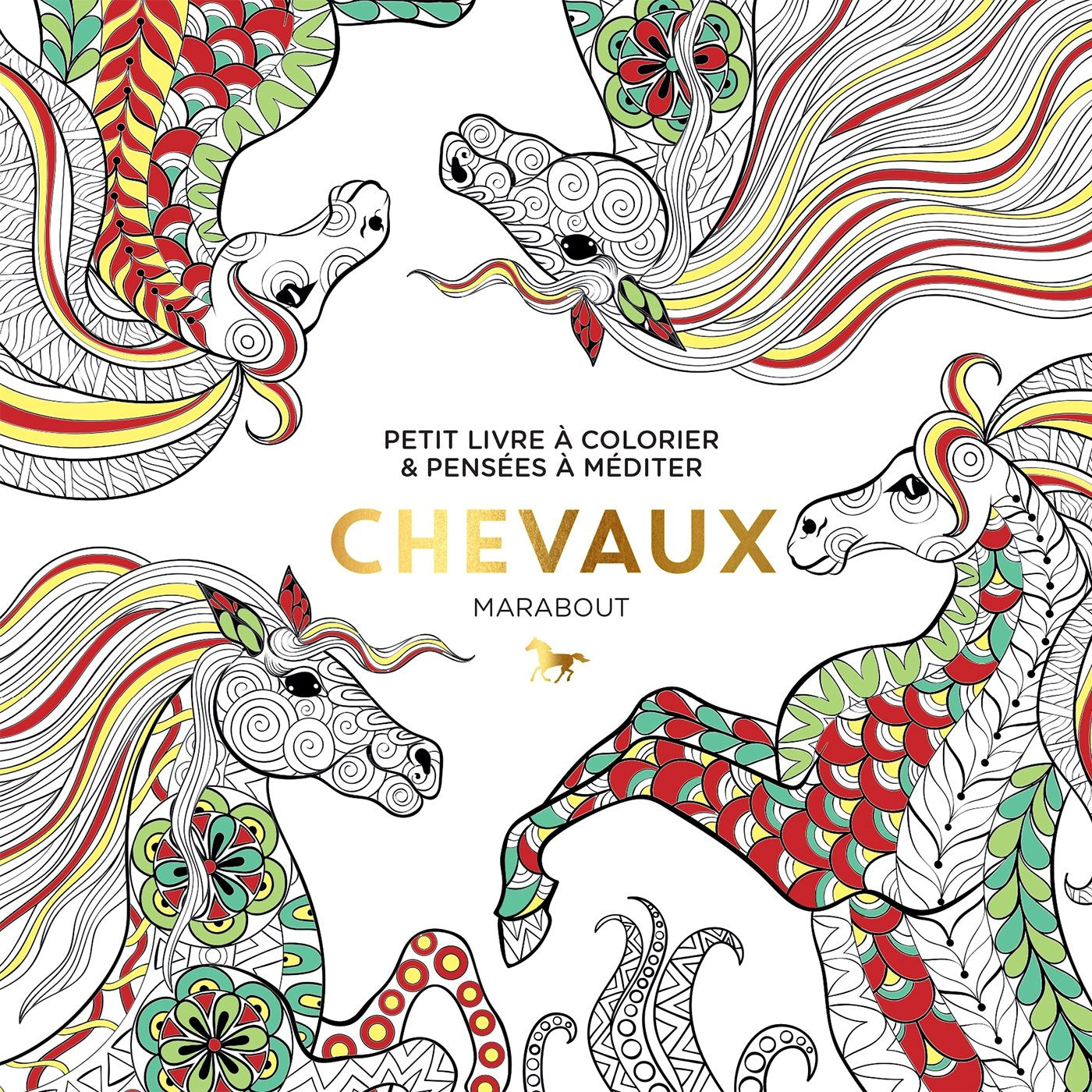 Le petit livre du coloriage : Chevaux book