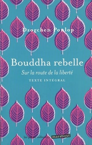 Bouddha rebelle: Sur la route de la liberté Books