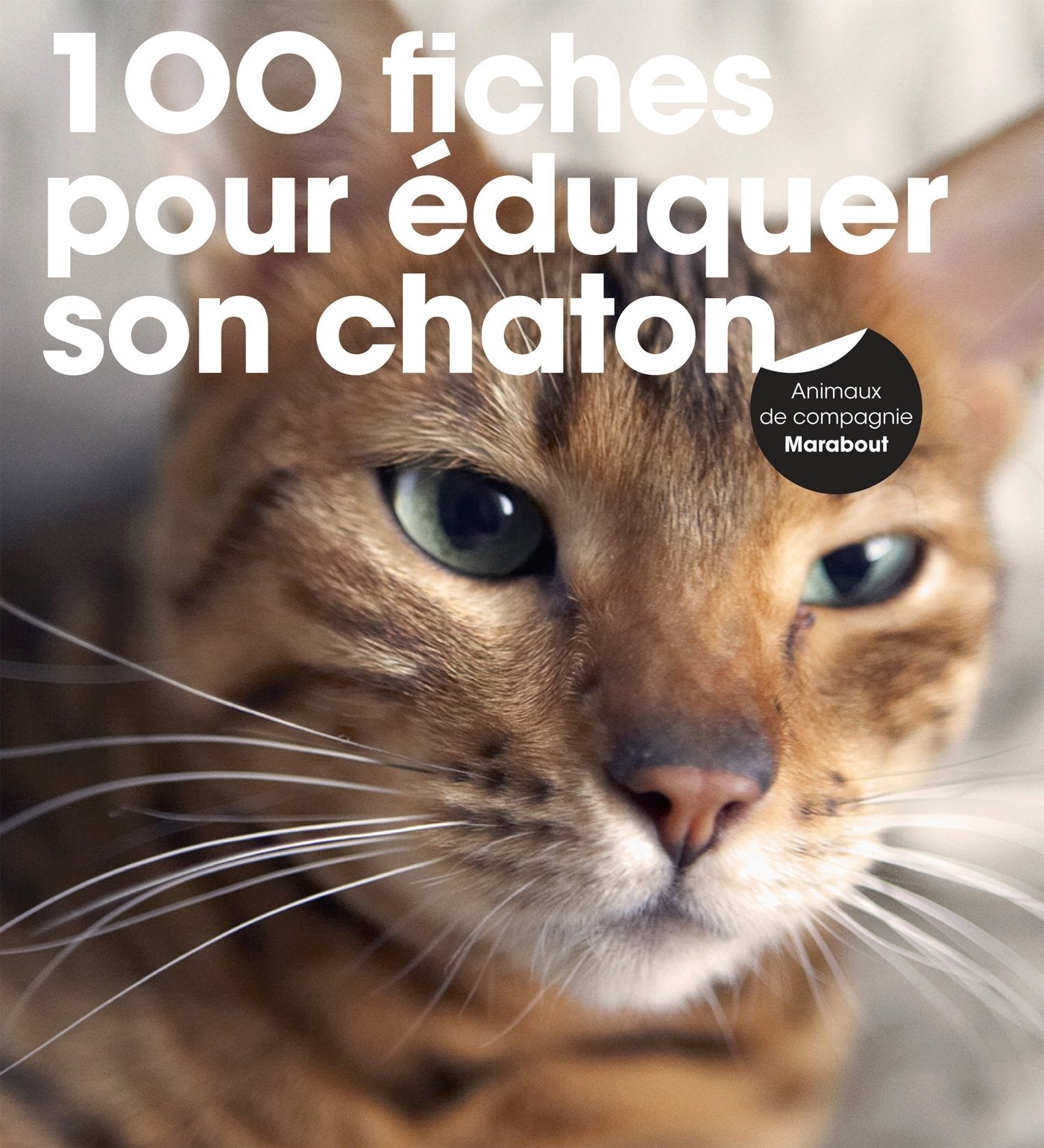 100 fiches pour éduquer son chaton: Une méthode facile pour vivre en harmonie avec son chaton Leisure, Home & Garden