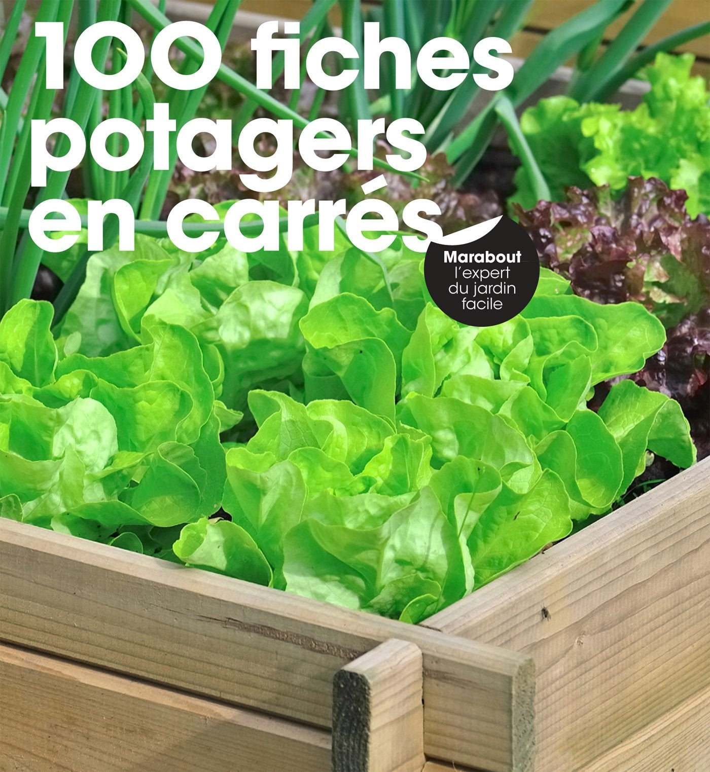 100 fiches potagers en carrés book