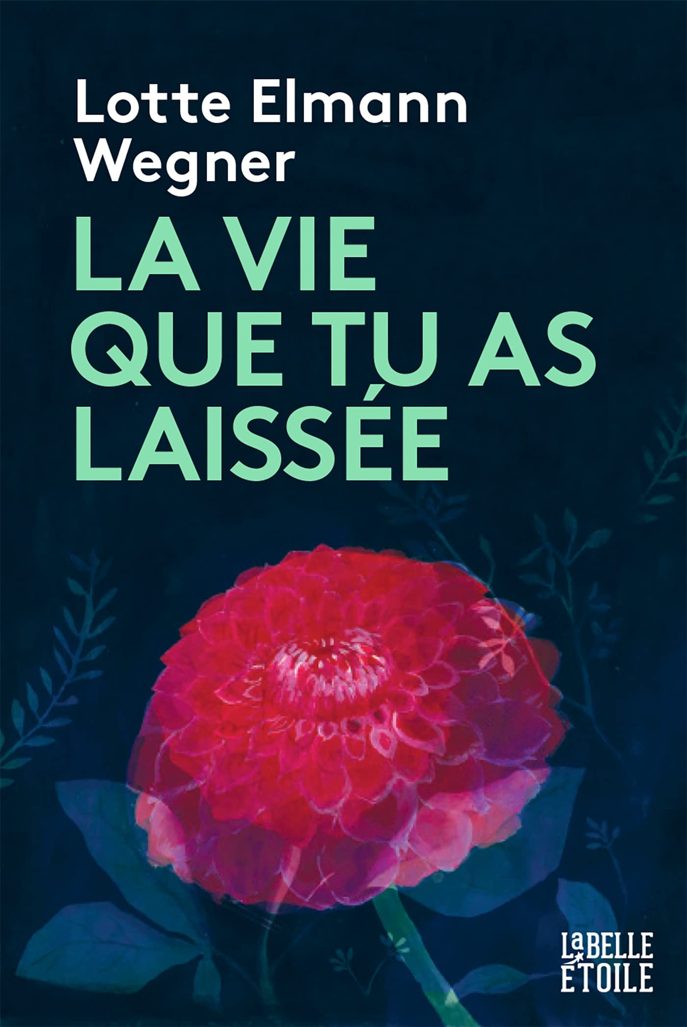 La vie que tu as laissée book