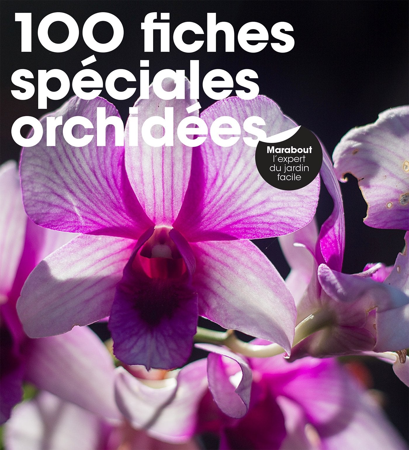 100 fiches spéciales orchidées book