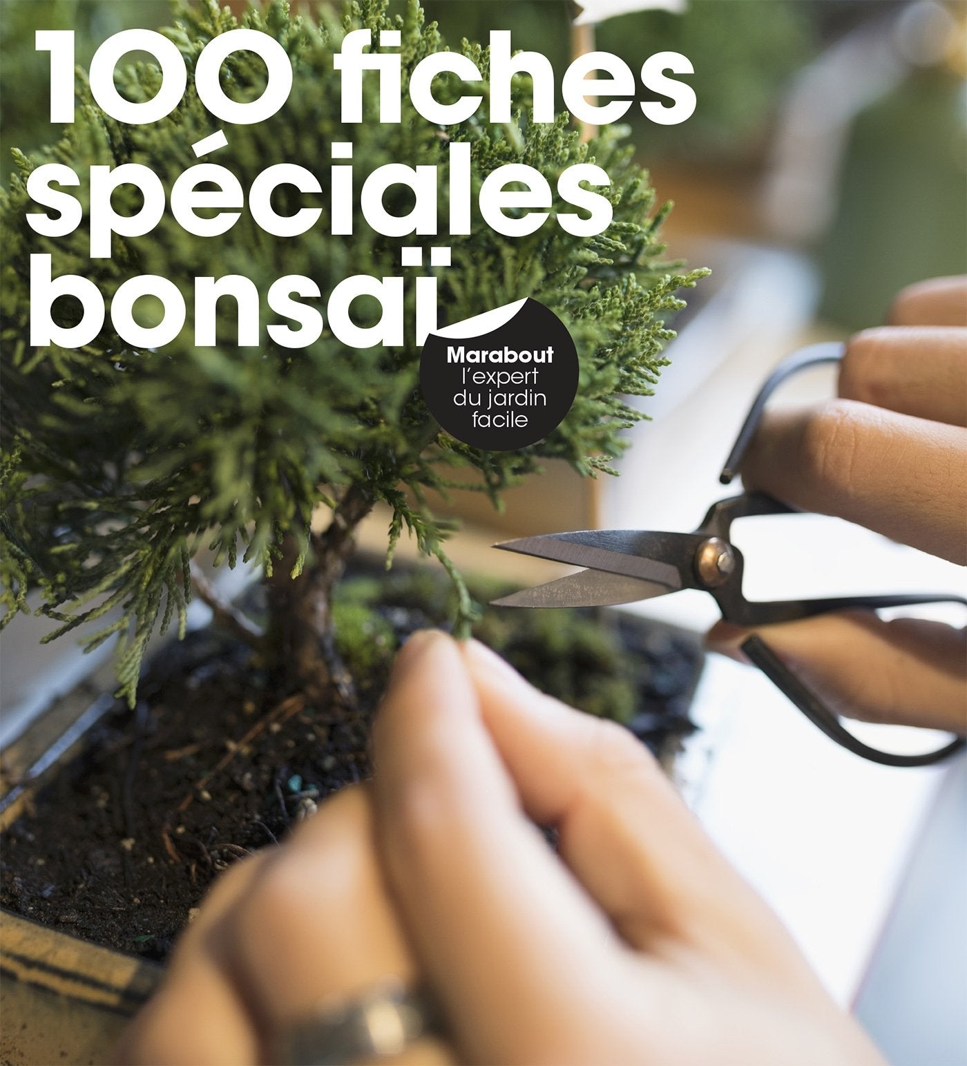 100 fiches spéciales Bonzaïs book