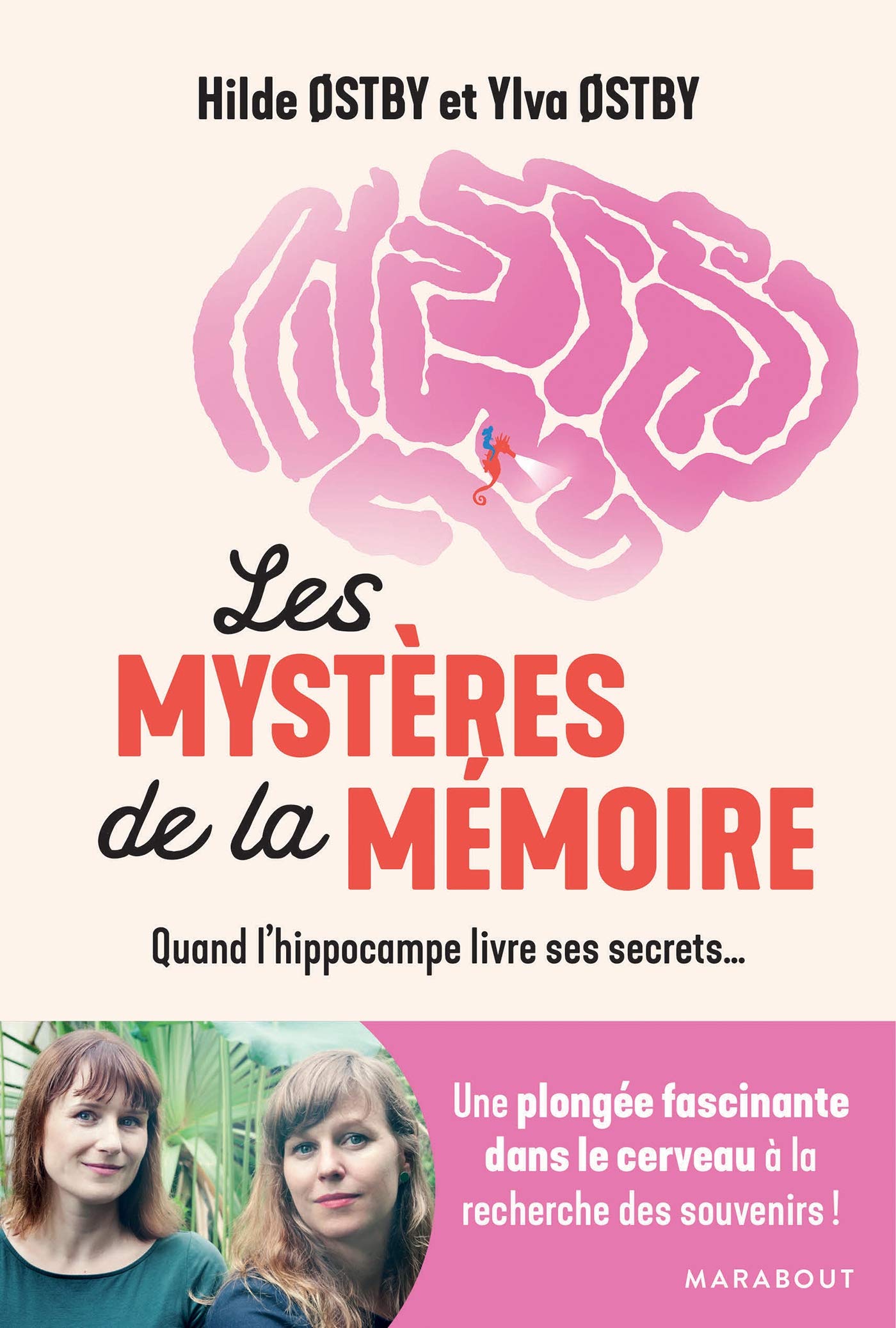 Les mystères de la mémoire: Quand l'hippocampe livre ses secrets... book