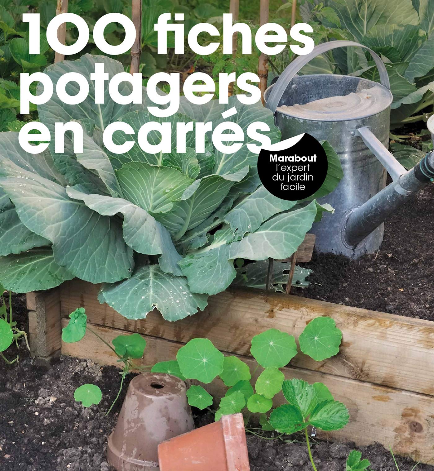 100 fiches potagers en carré book