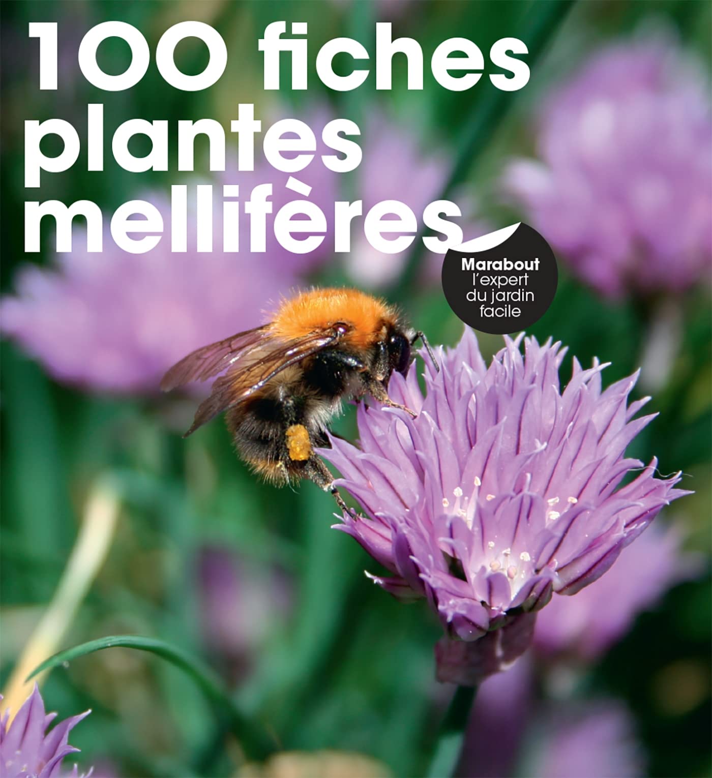 100 fiches plantes mellifères book