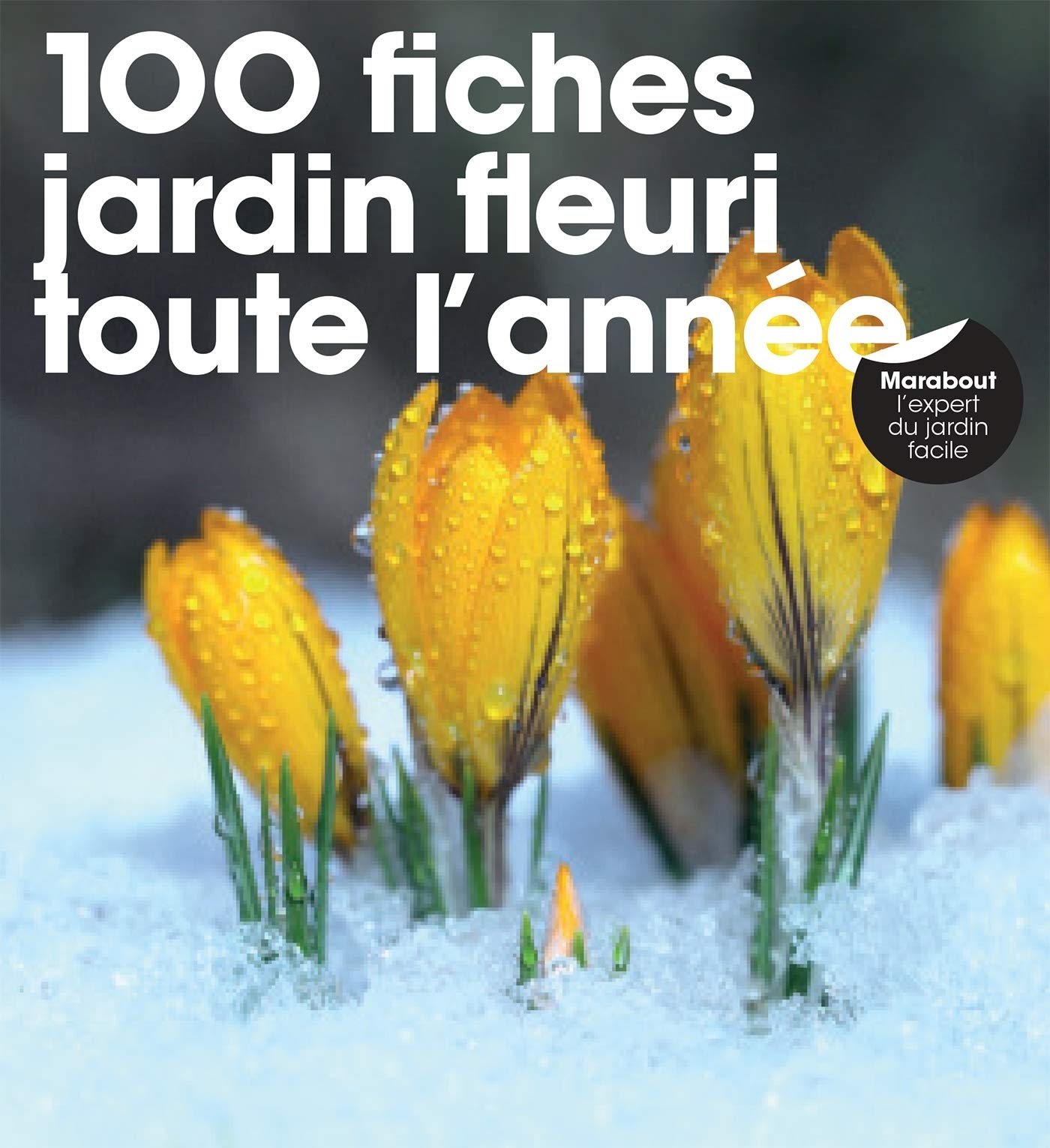 100 fiches jardin fleuri toute l'année book