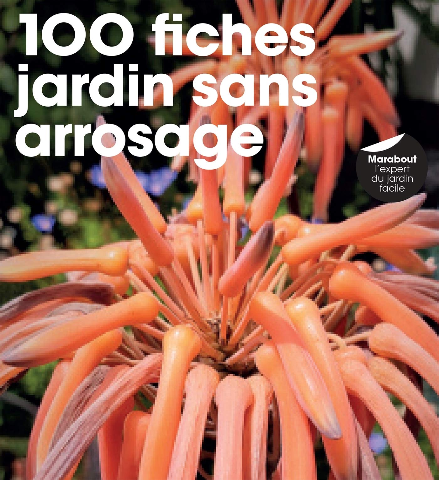 100 fiches un jardin sans arrosage Leisure, Home & Garden