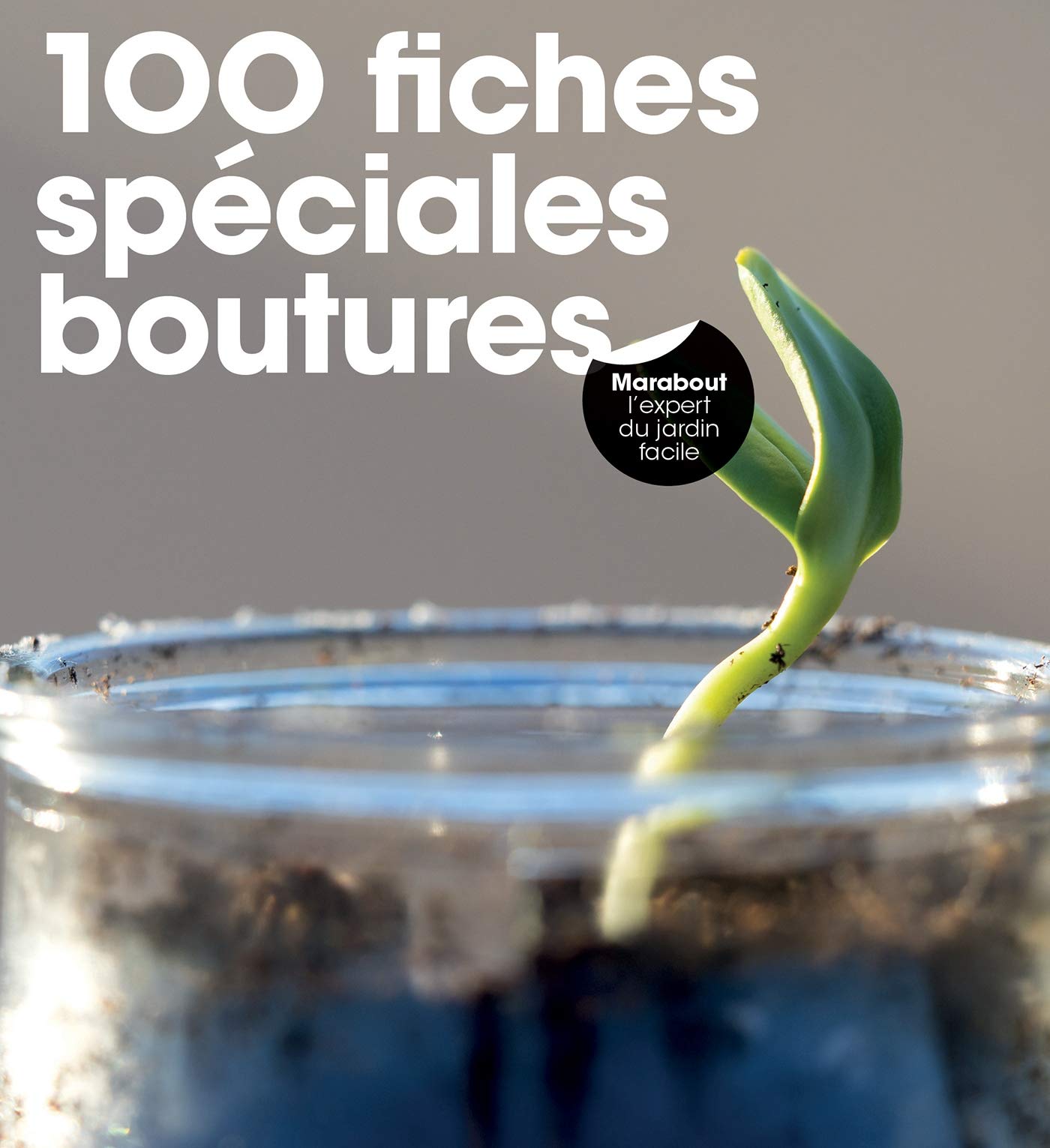 100 fiches spéciales boutures Leisure, Home & Garden