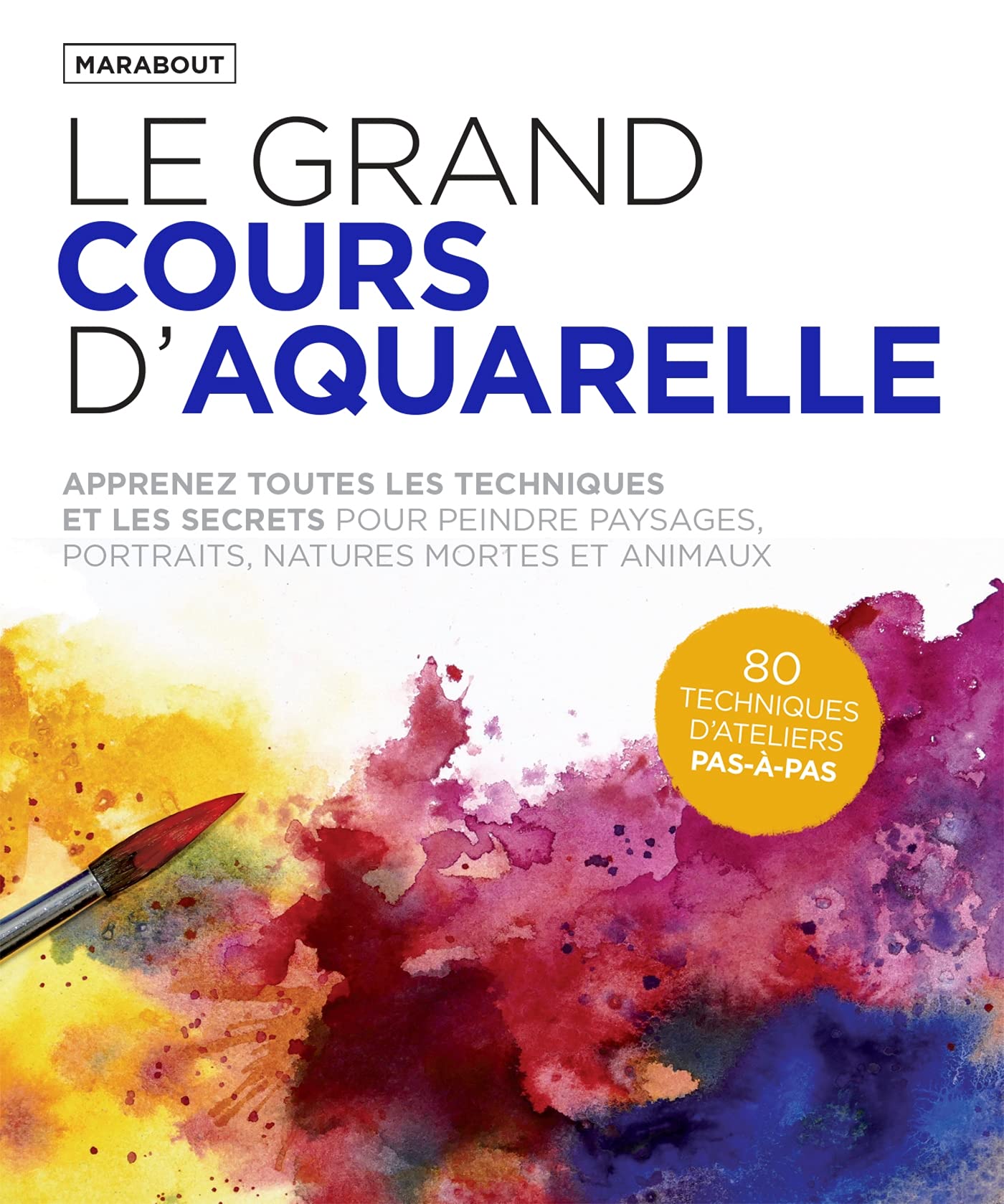 Le grand cours d'aquarelle Hobbies & Crafts