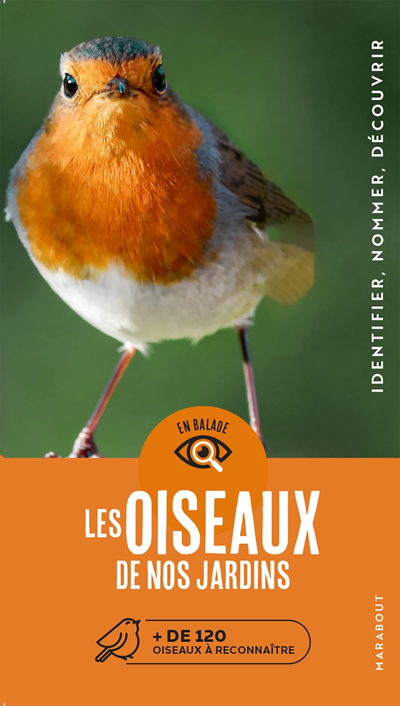 En balade - Les oiseaux de nos jardins book