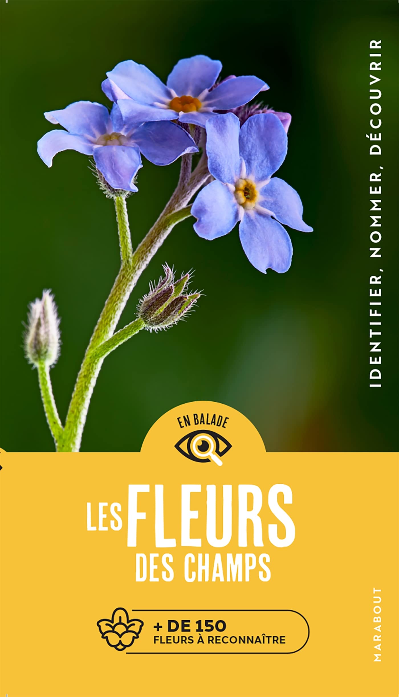 En balade - Les fleurs: Plus de 150 fleurs à reconnaître Film, Art & Culture