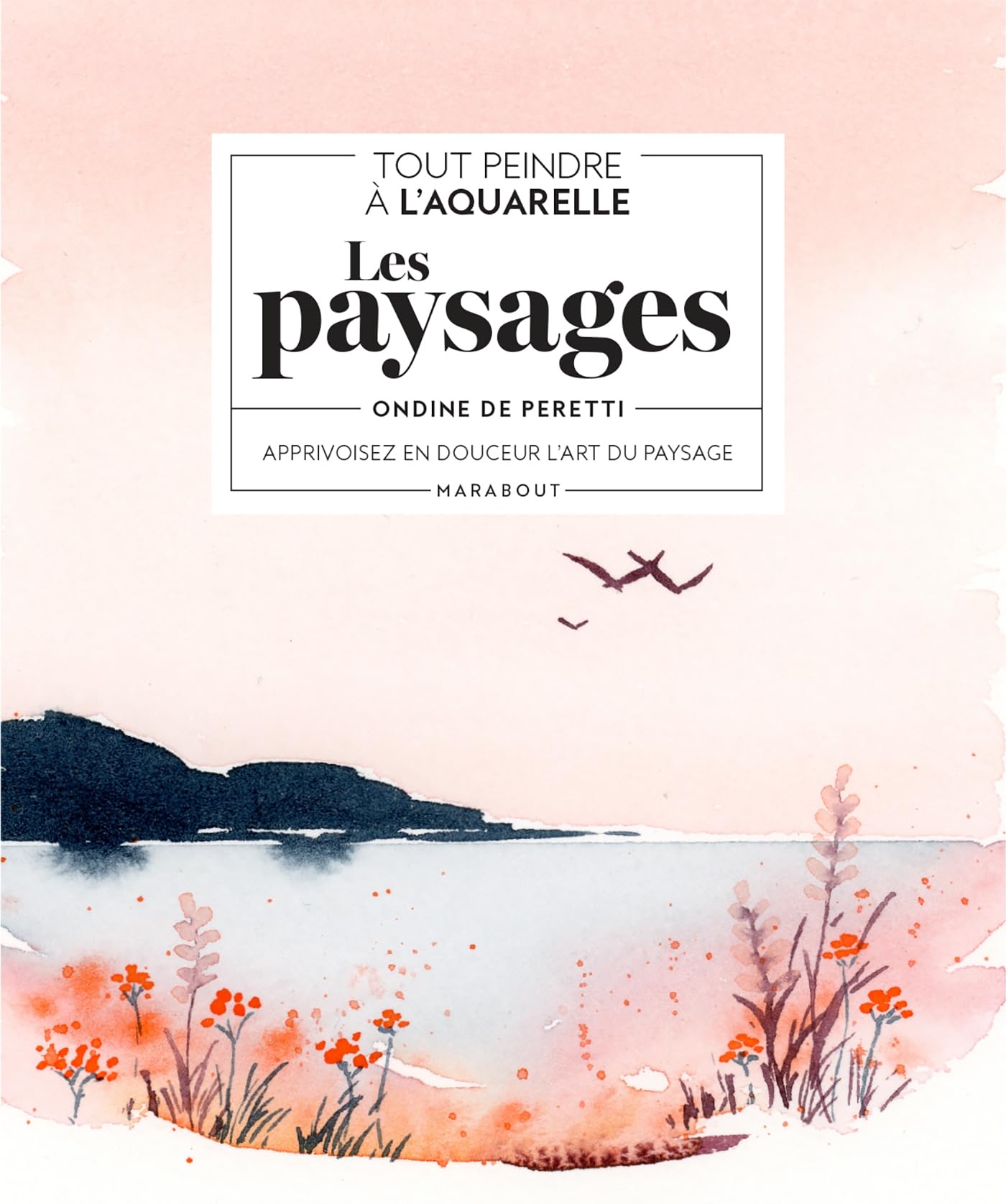 Tout peindre à l'aquarelle : les paysages: Apprivoisez en douceur l'art du paysage Hobbies & Crafts