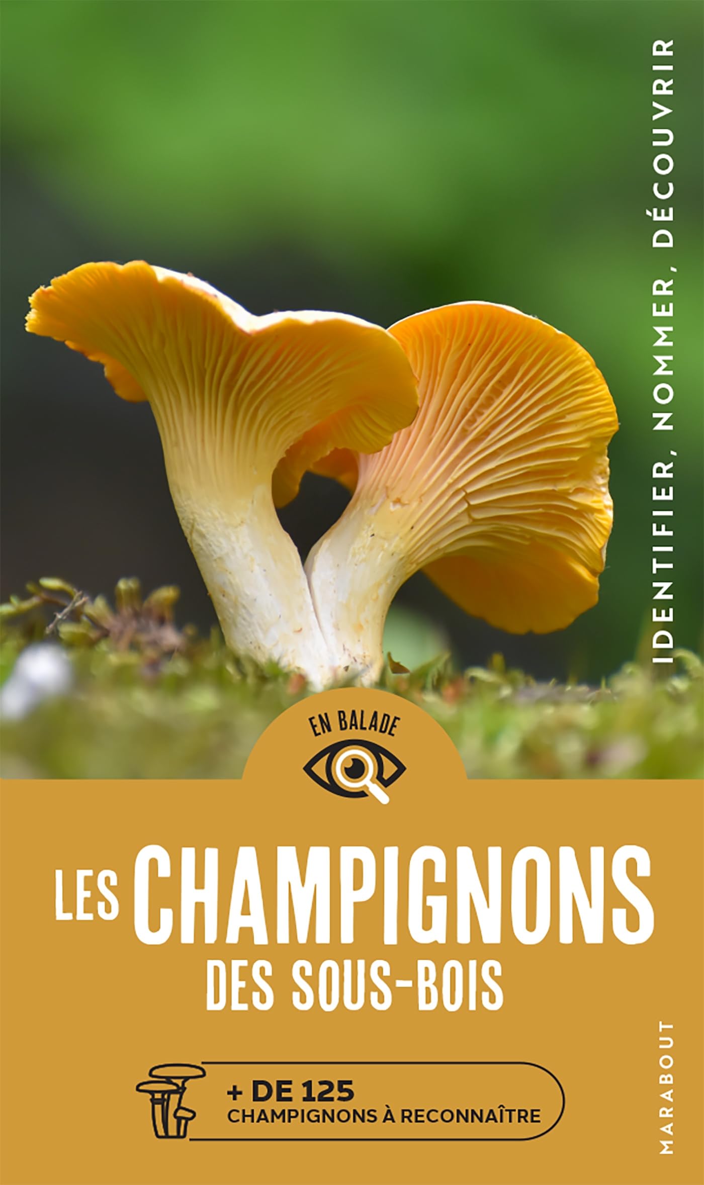 En balade - Les champignons des sous bois book