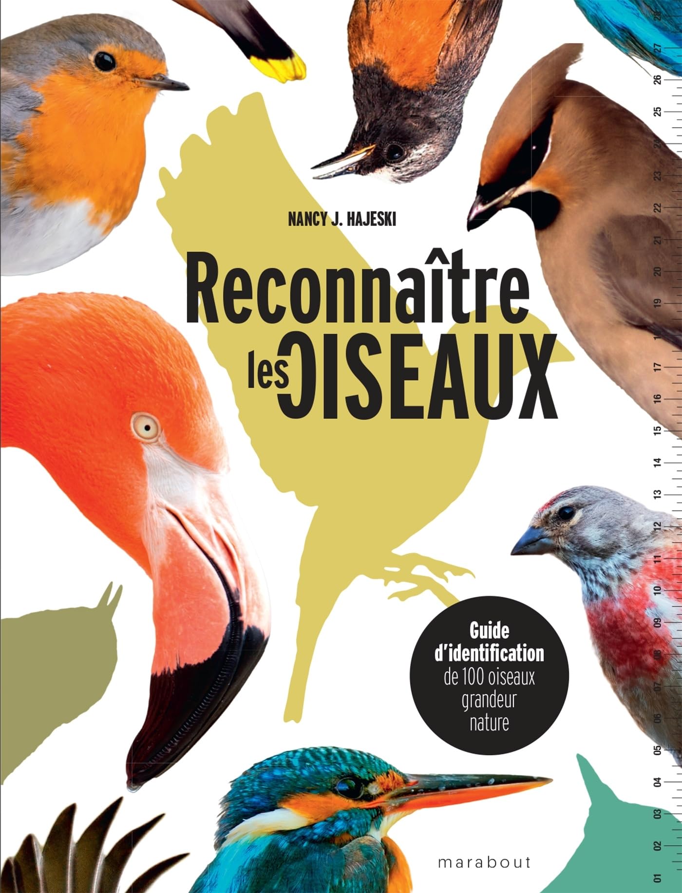 Reconnaître les oiseaux: Guide d identification de 100 oiseaux grandeur nature book