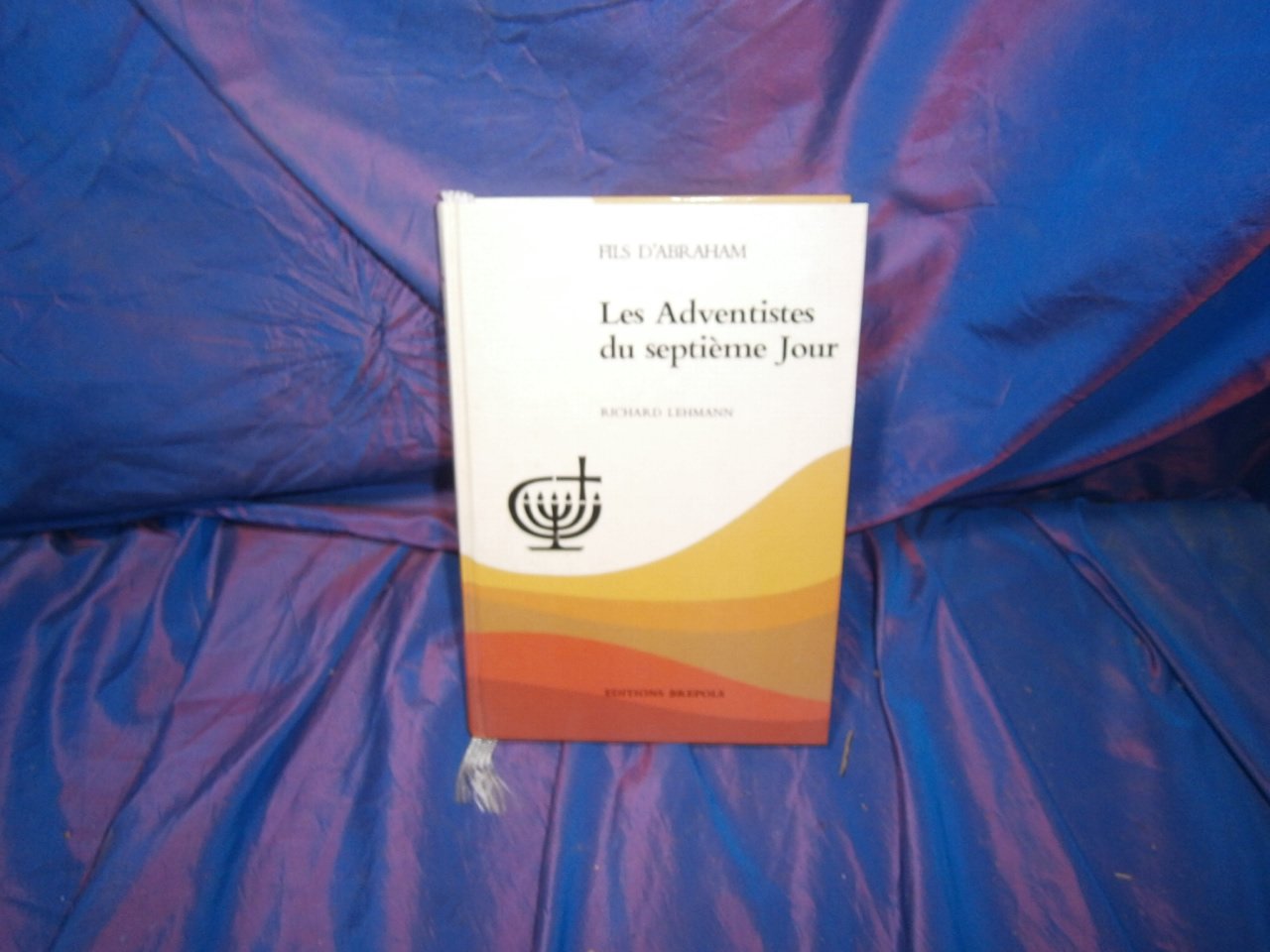 La Violence Au Village: Sociabilite Et Comportements Populaires En Artois Du XV Au Xvii Siecle (Violence et societe) Psychology