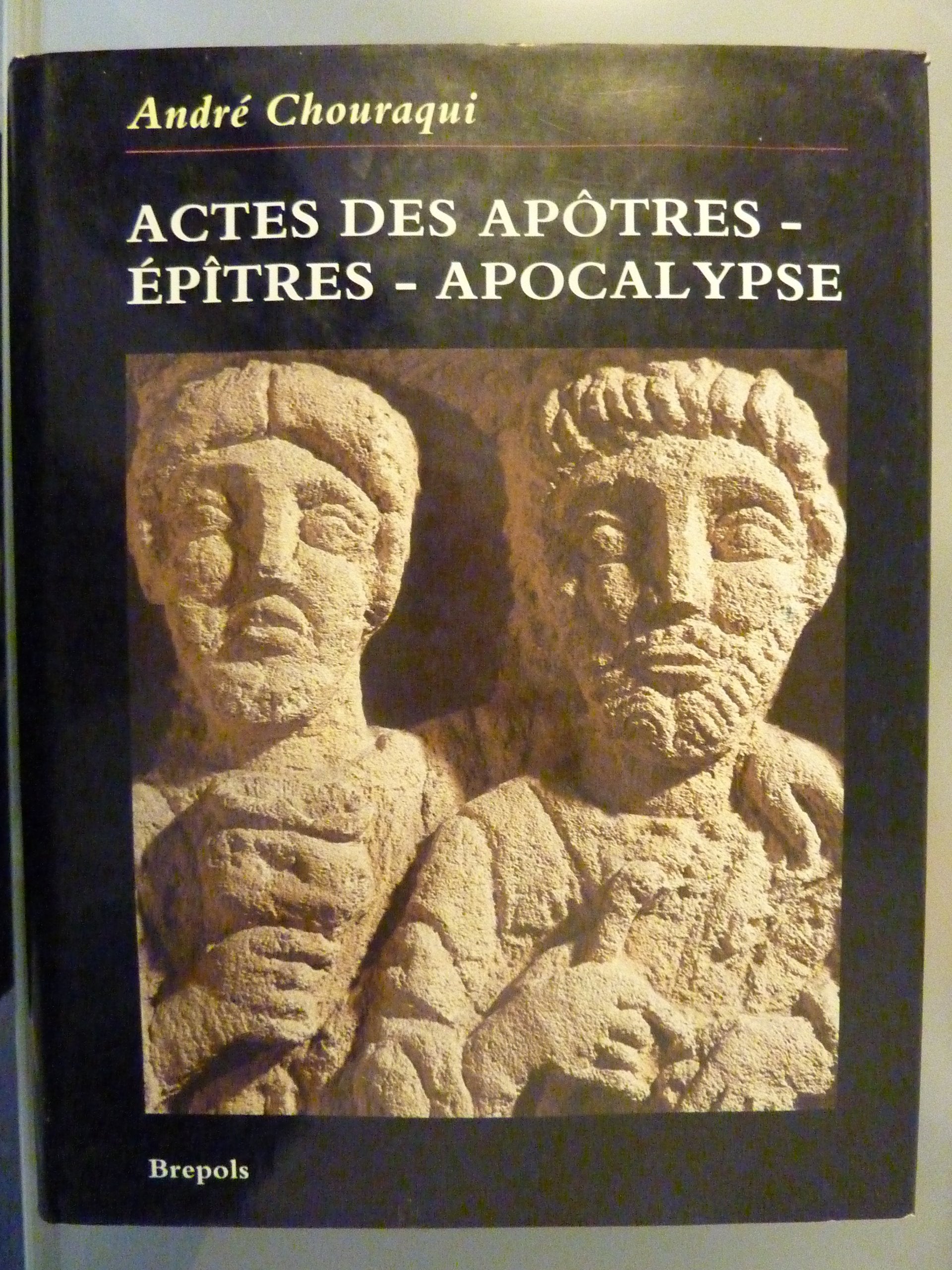 Actes des Apôtres - Épîtres - Apocalypse book