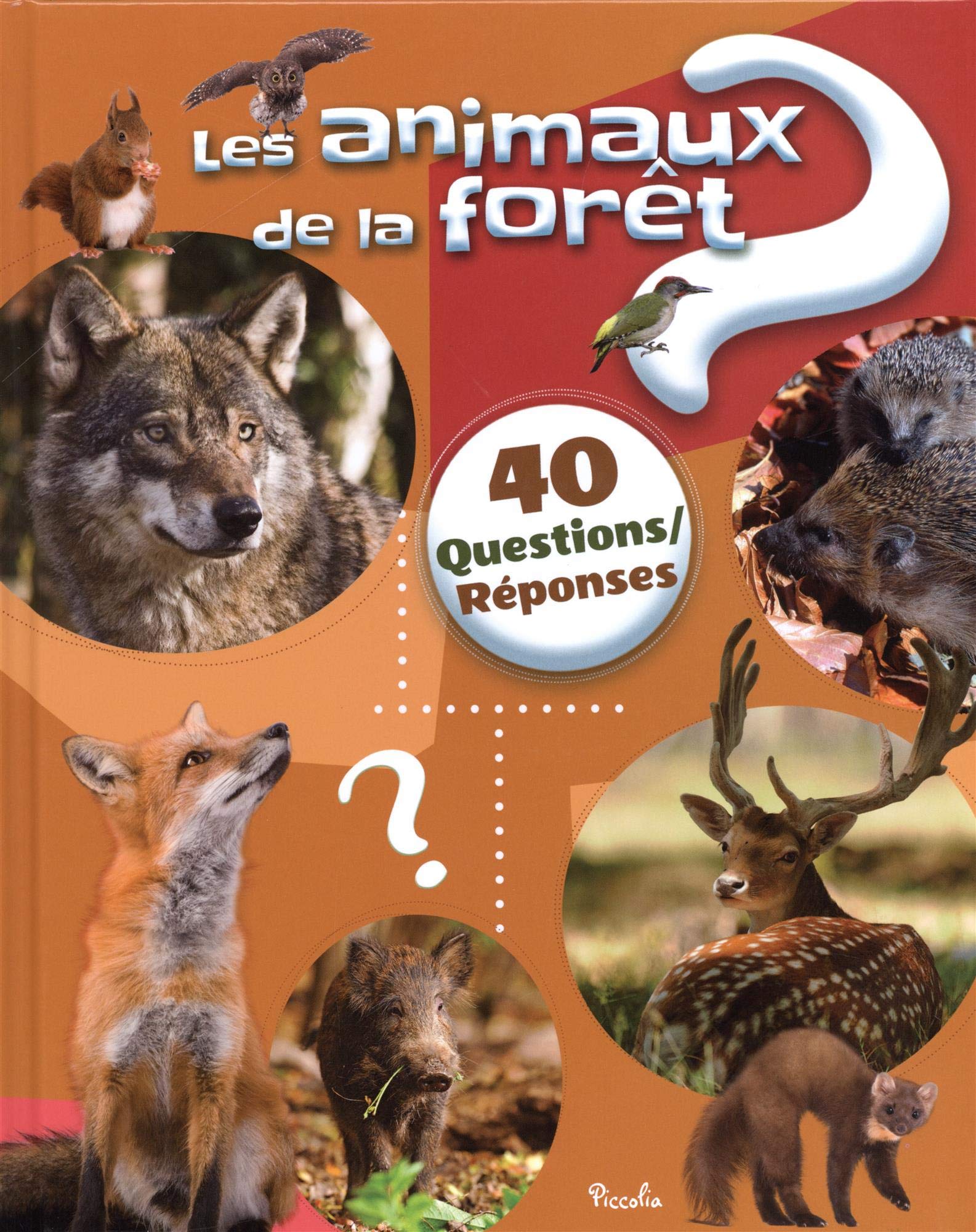 Les animaux de la fôret: 40 questions/réponses Non-fiction