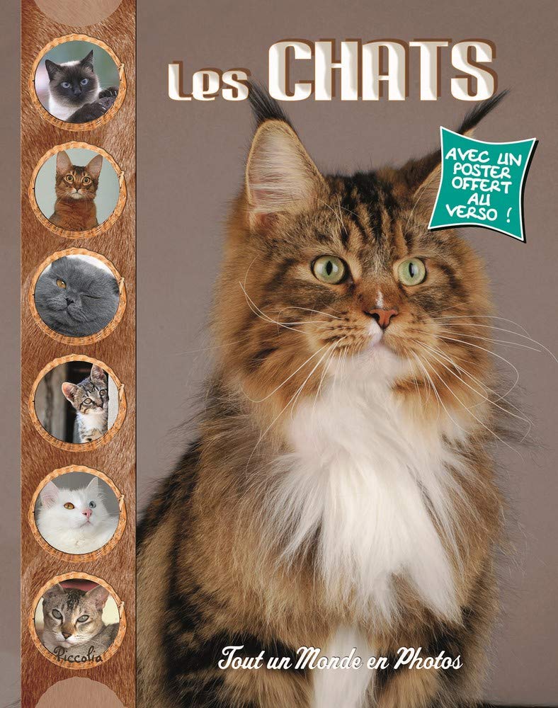 Les chats: Tout un monde en photos book