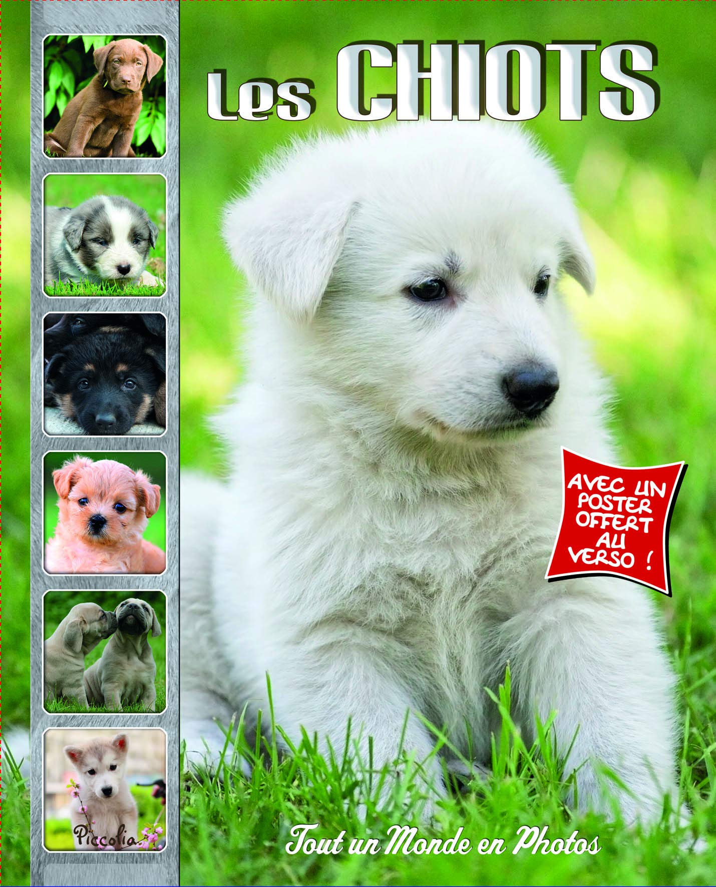 Les chiots: Tout un monde en photos Non-fiction