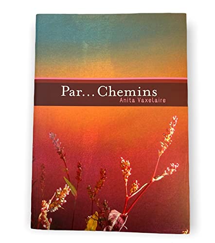 Psicología matemática II: libro de problemas dvd