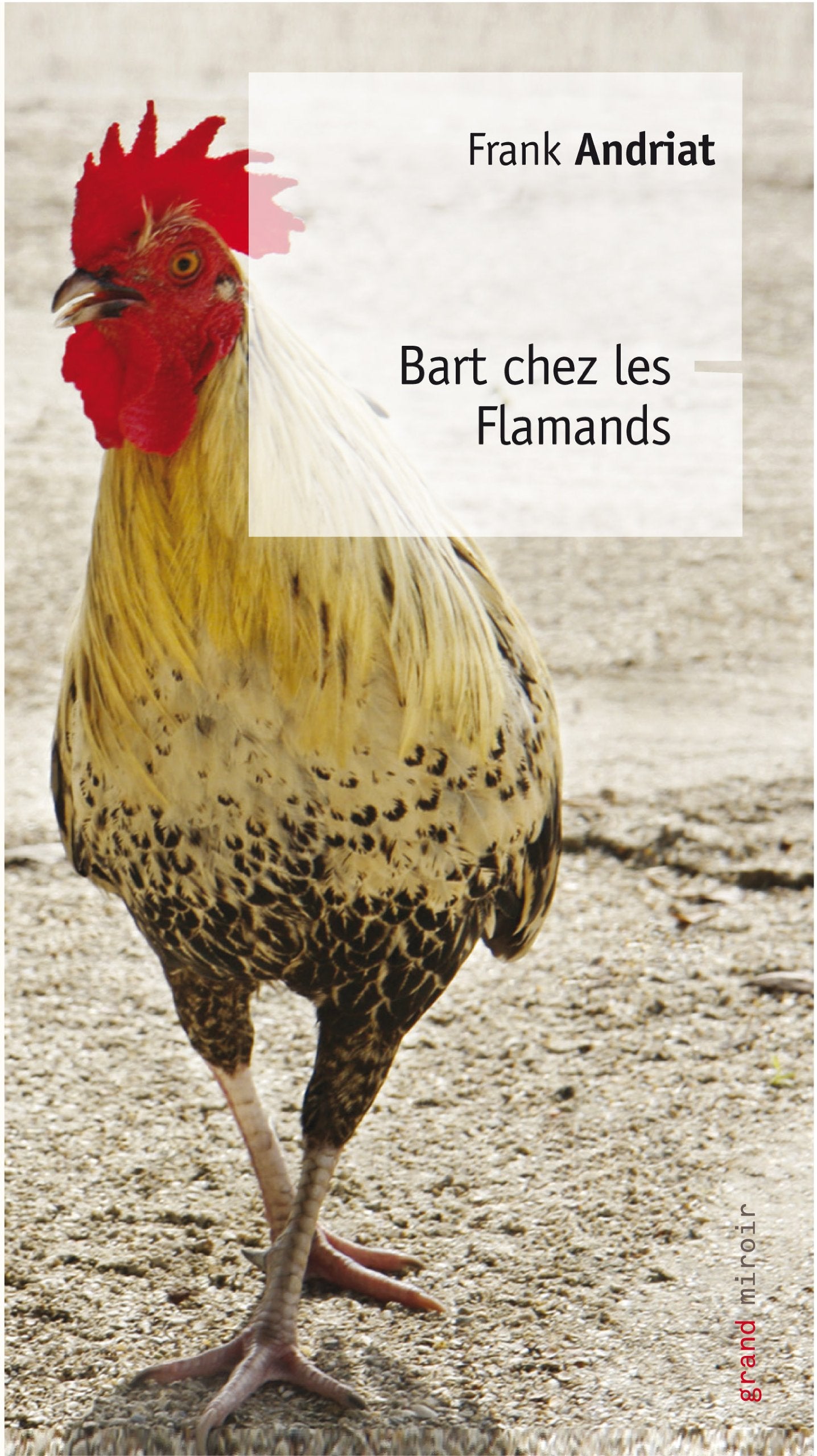 Bart chez les Flamands Humour & Satire