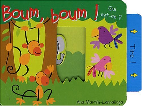 BOUM-BOUM QUI EST-CE book