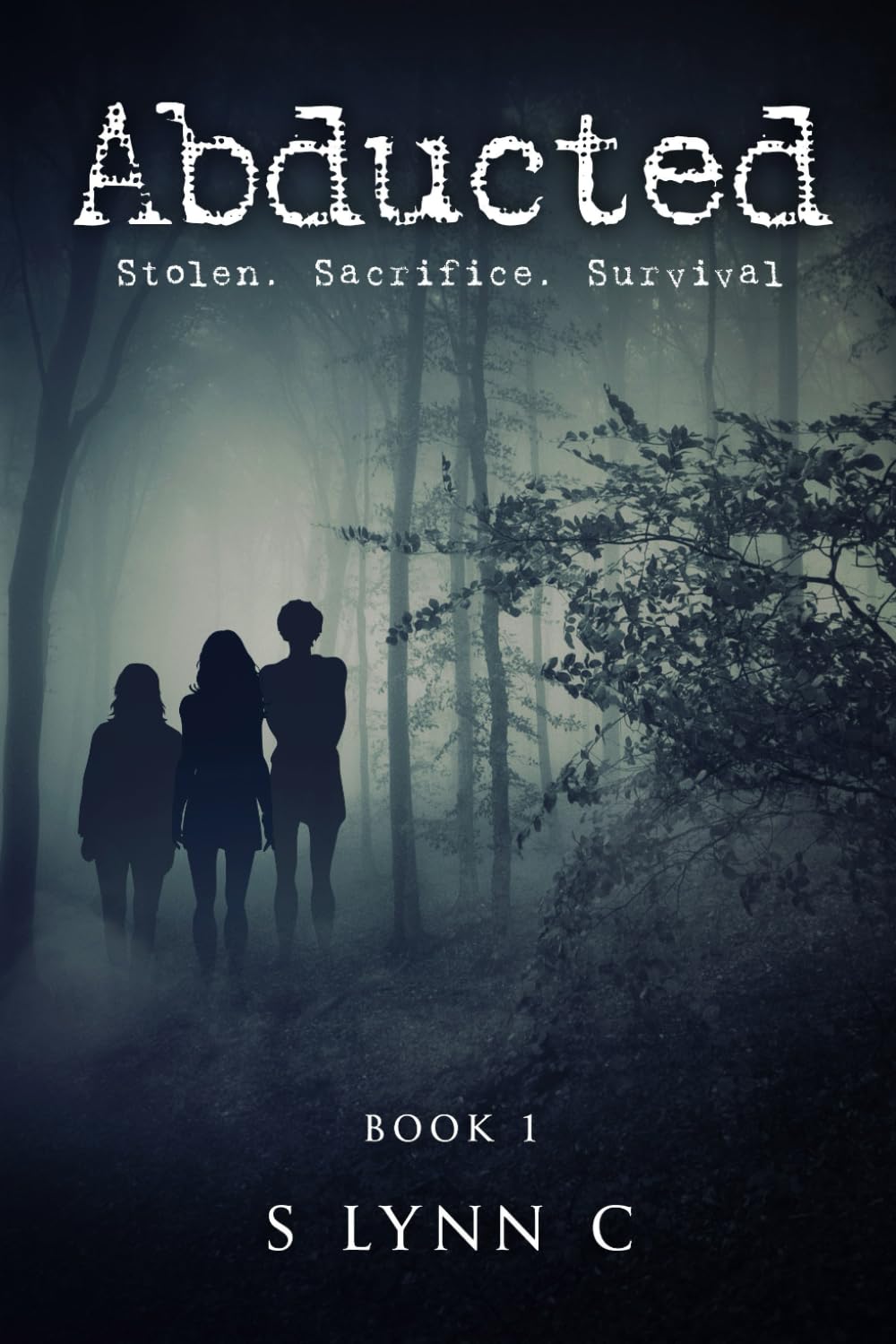 Abducted (Hunted: The Isabel Twain Story, Band 1) Suspense & Thrillers