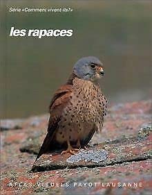 Les Rapaces : faucons, buse variable, épervier d'Europe et autres rapaces diurnes Books