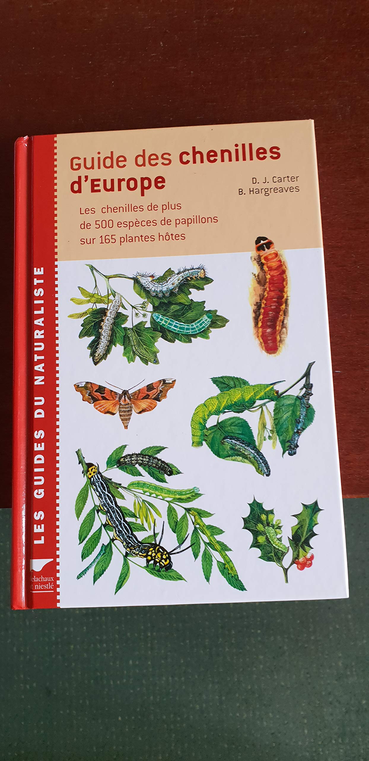 Guide des chenilles d'Europe: 500 espèces de chenilles sur 165 plantes Books