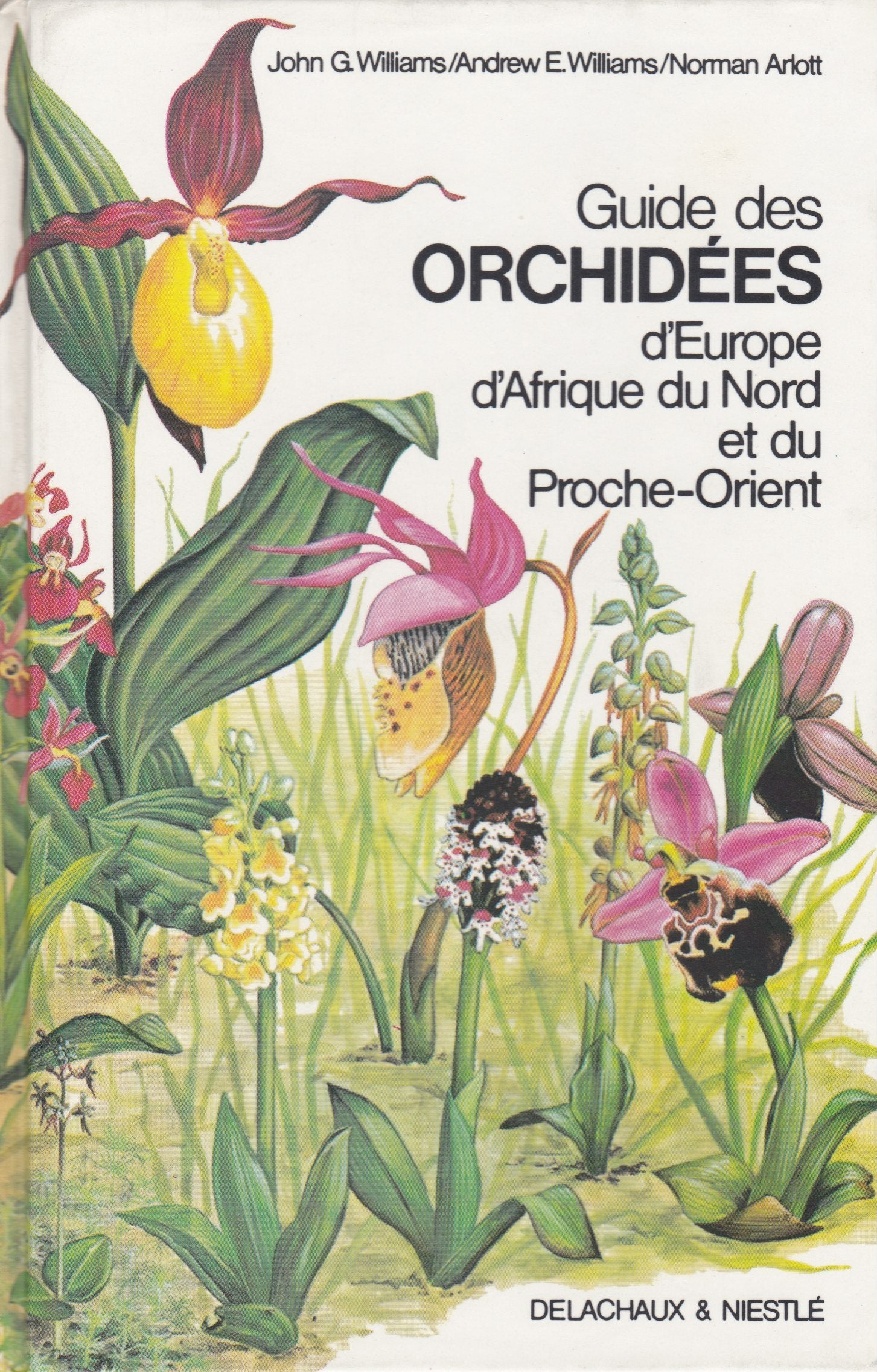 Guide des orchidées sauvages d'Europe et du bassin méditerranéen (Afrique du Nord et Proche-Orient inclus) Books
