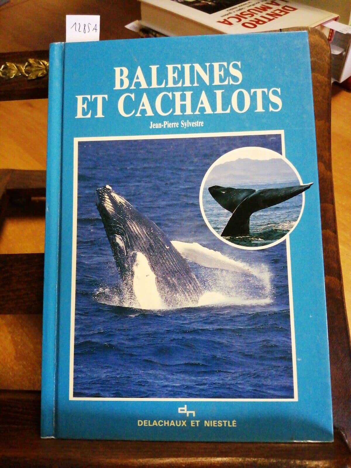 Guide Des Baleines Et Cachalots Books